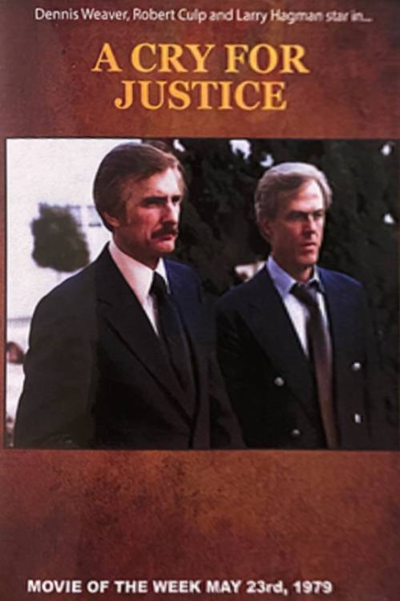 Pôster de A Cry for Justice