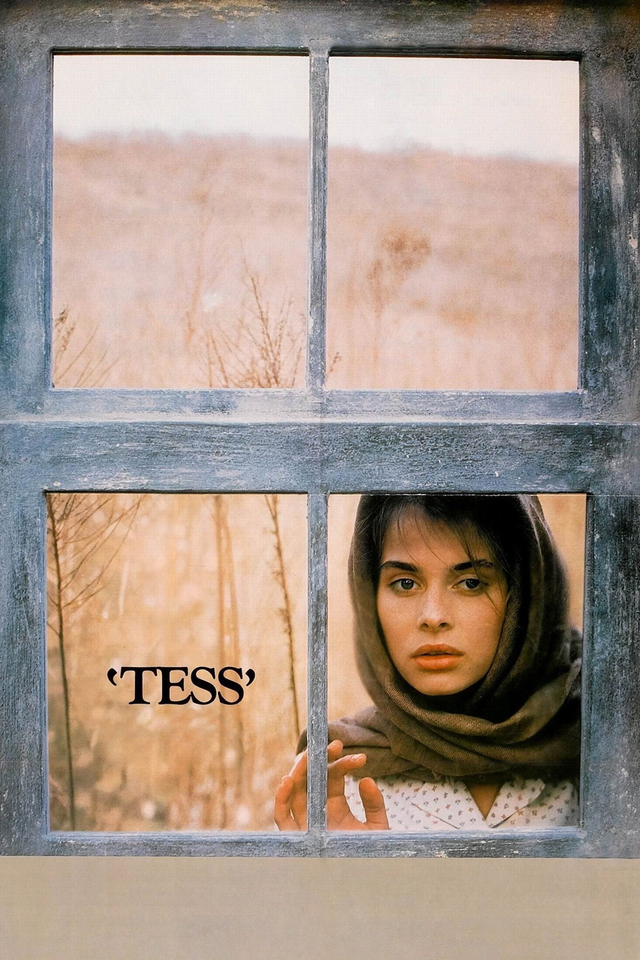 Pôster de Tess