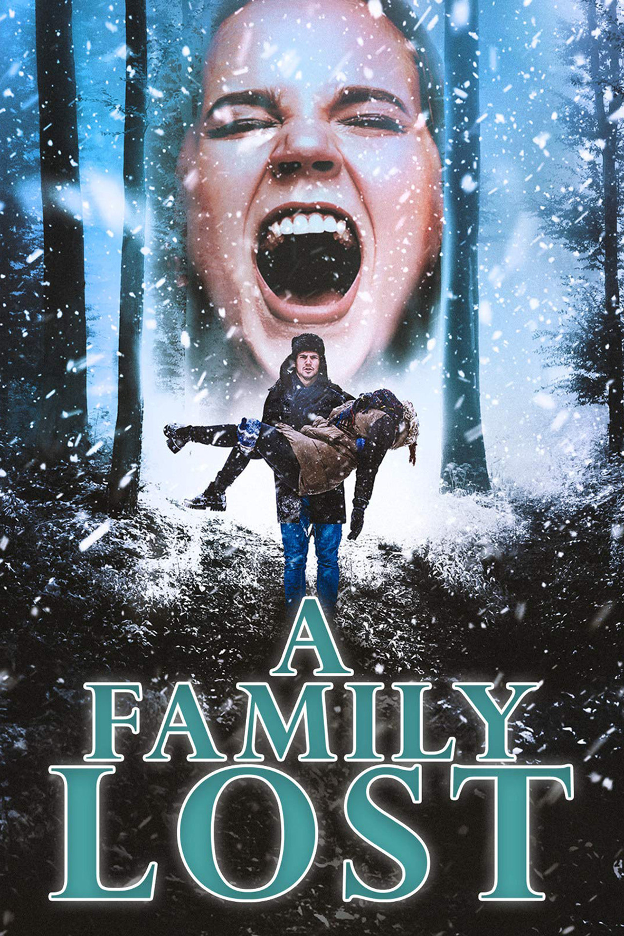 Pôster de A Family Lost