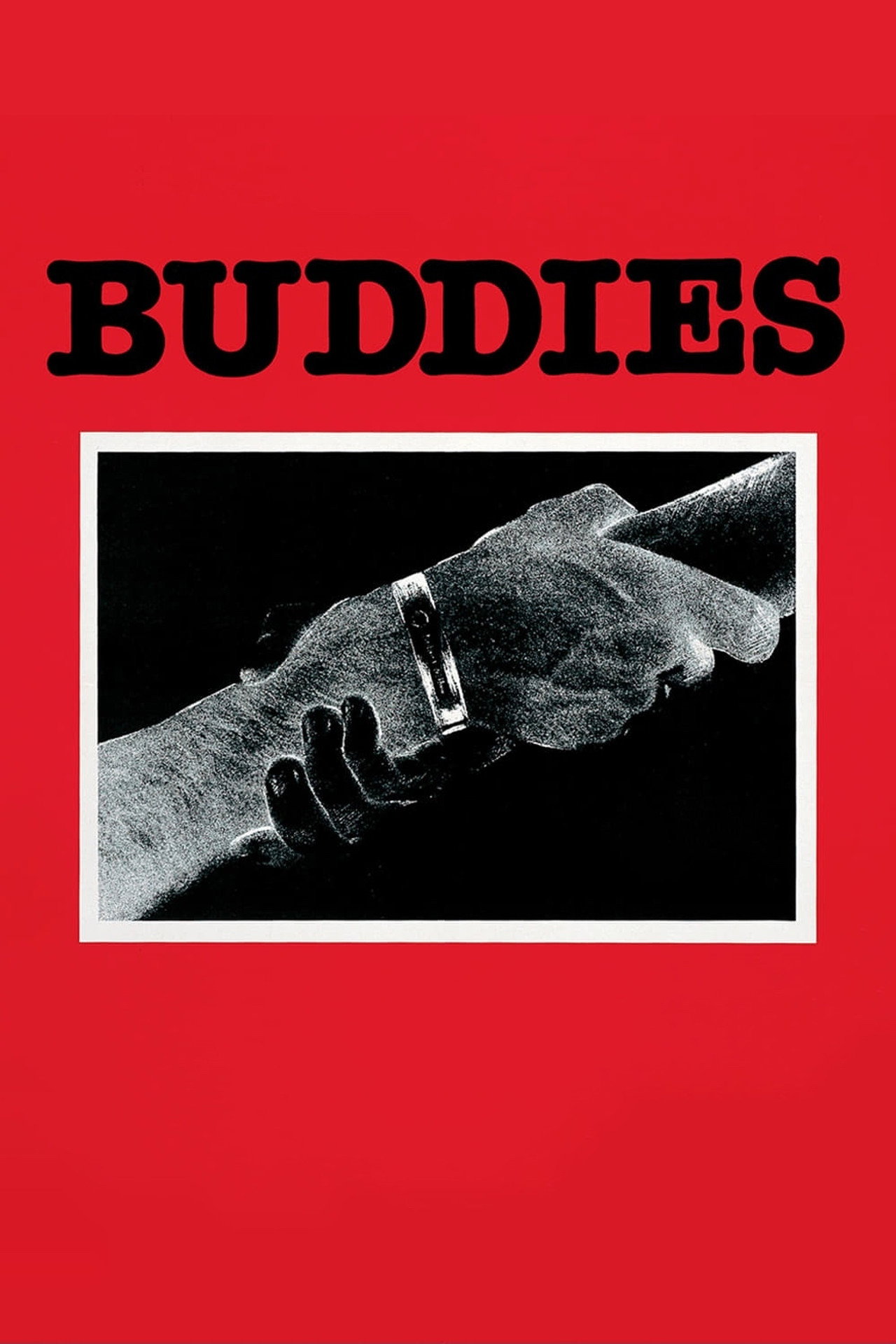 Pôster de Buddies