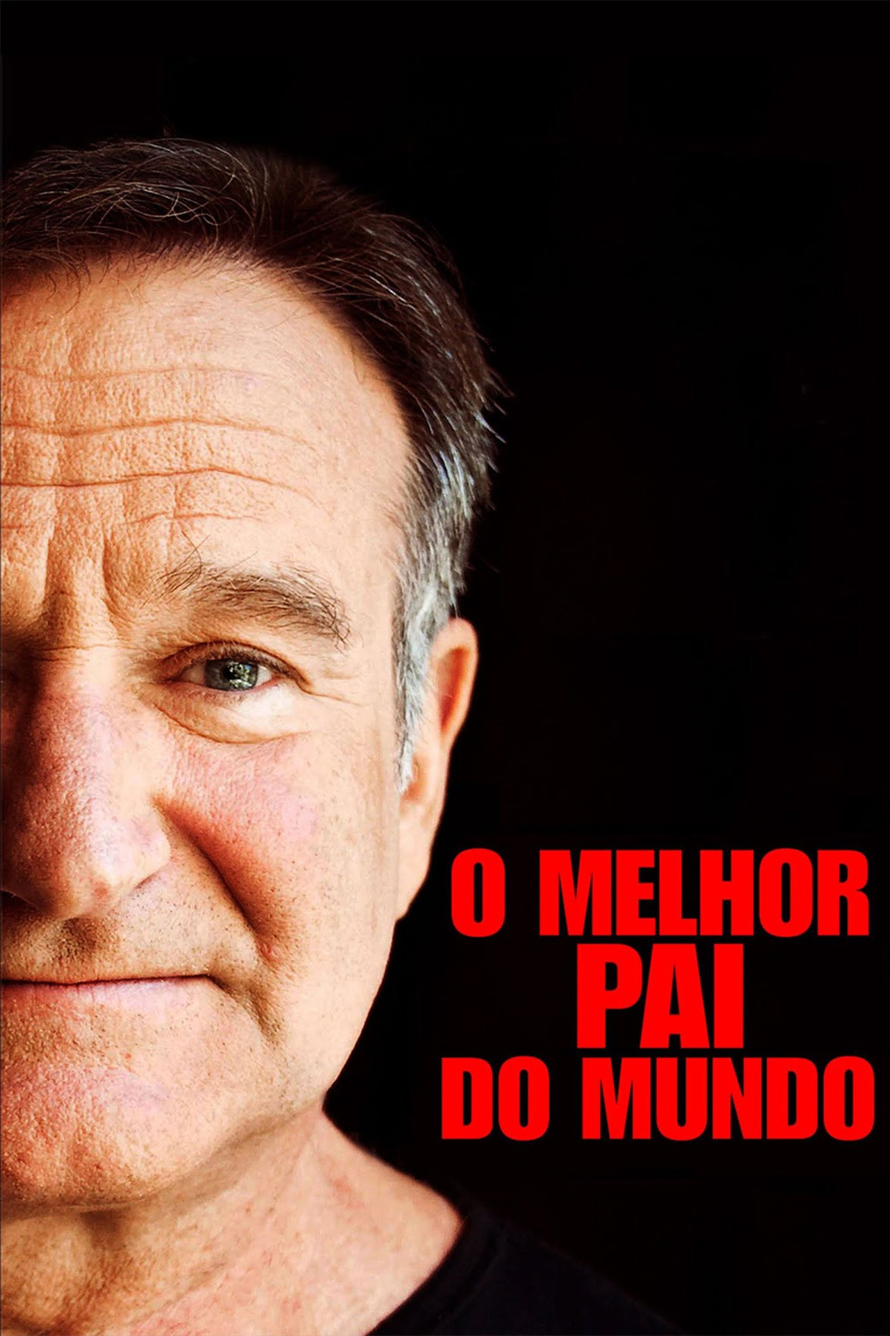 Pôster de O Melhor Pai do Mundo
