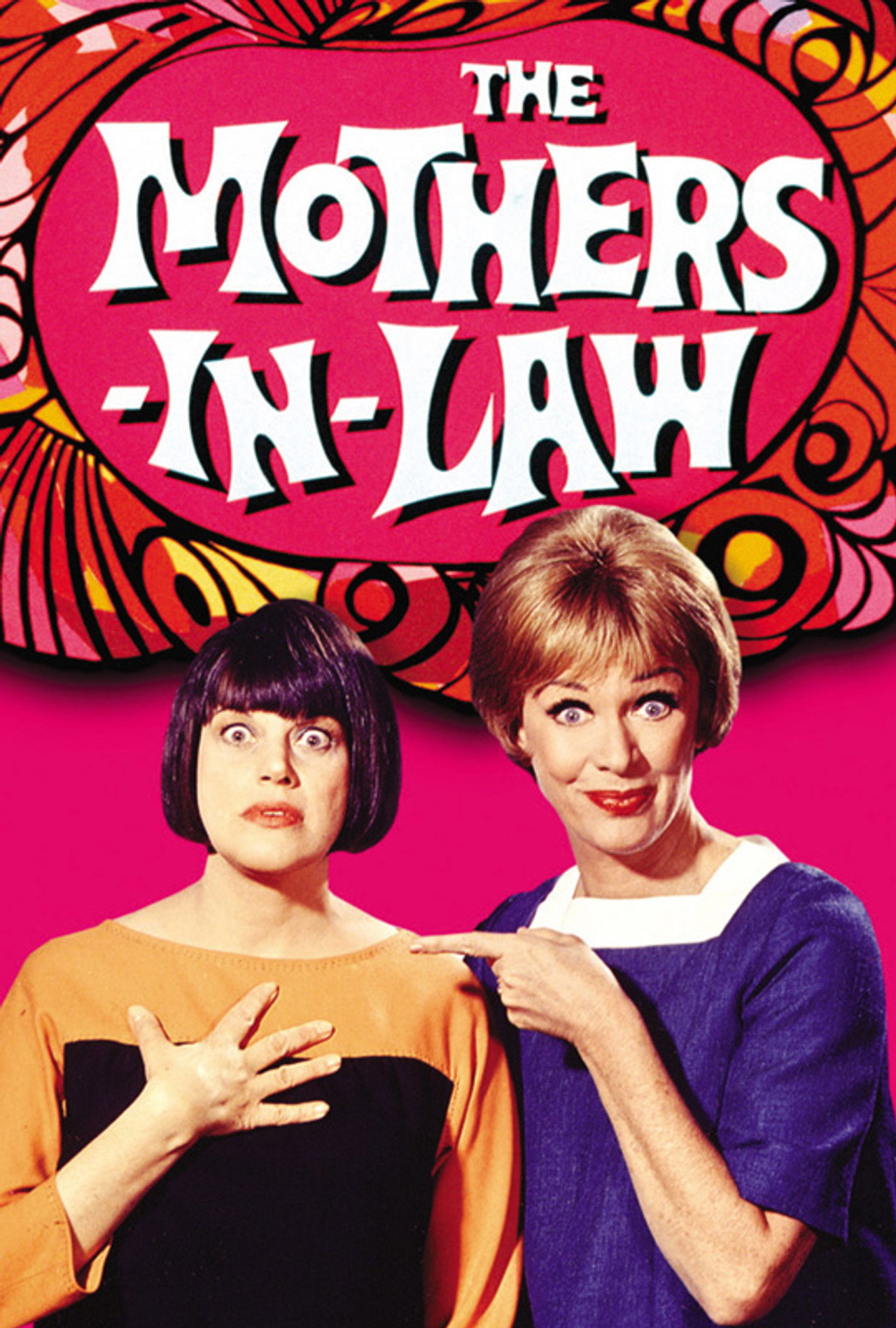 Pôster de The Mothers-in-Law