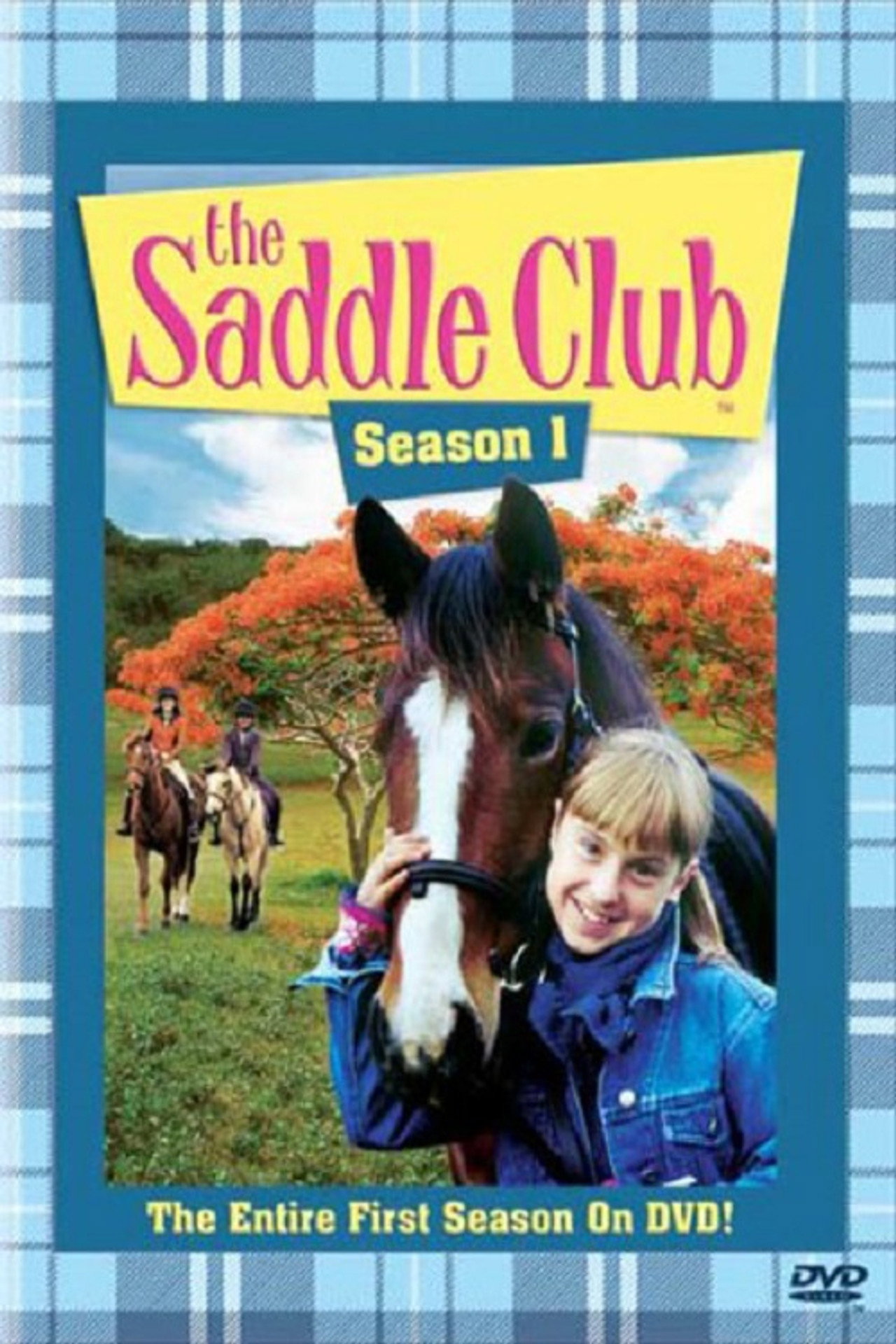 Pôster de The Saddle Club