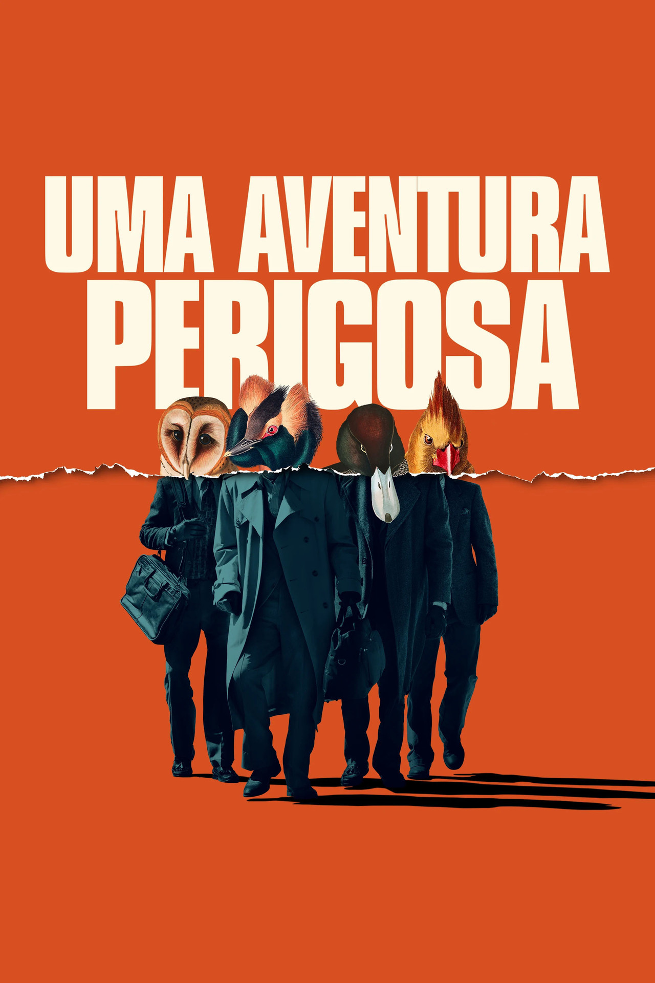 Pôster de Uma Aventura Perigosa
