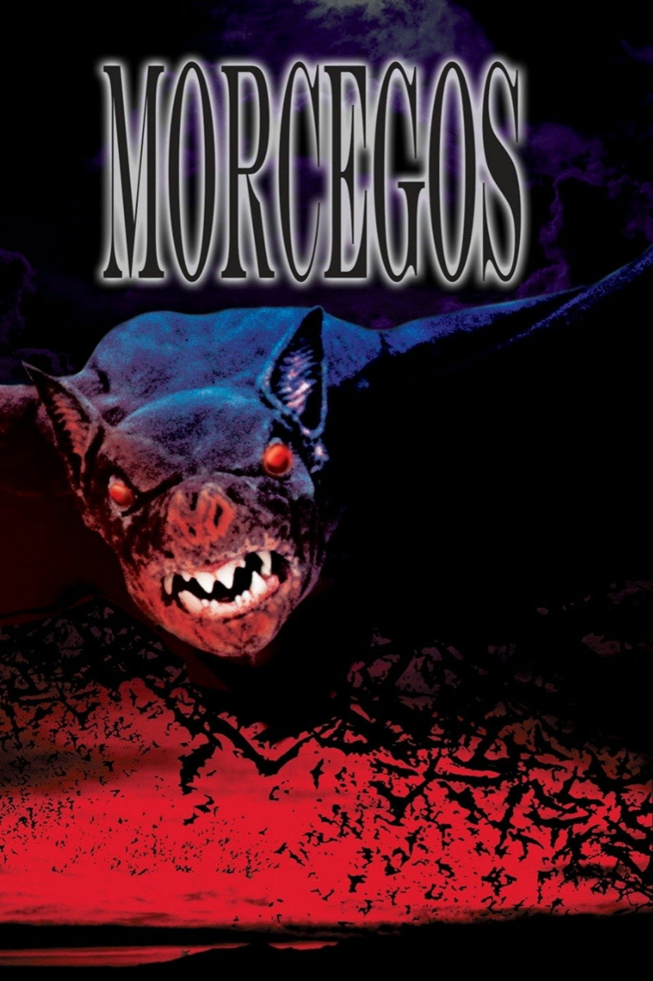 Pôster de Morcegos