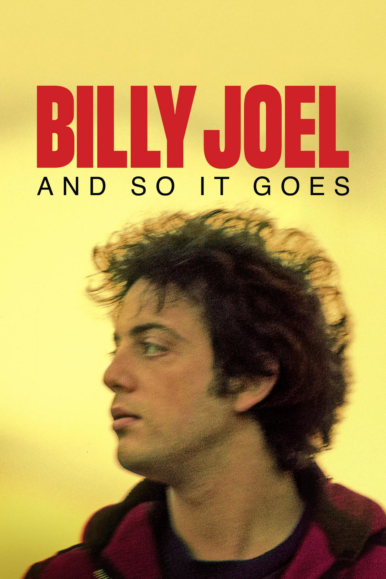 Pôster de Billy Joel: And So It Goes
