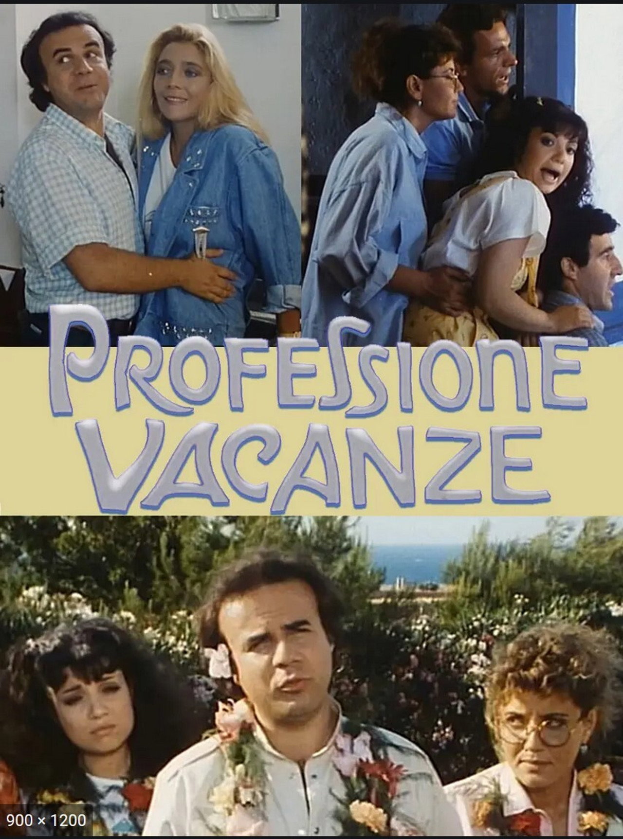 Pôster de Professione vacanze