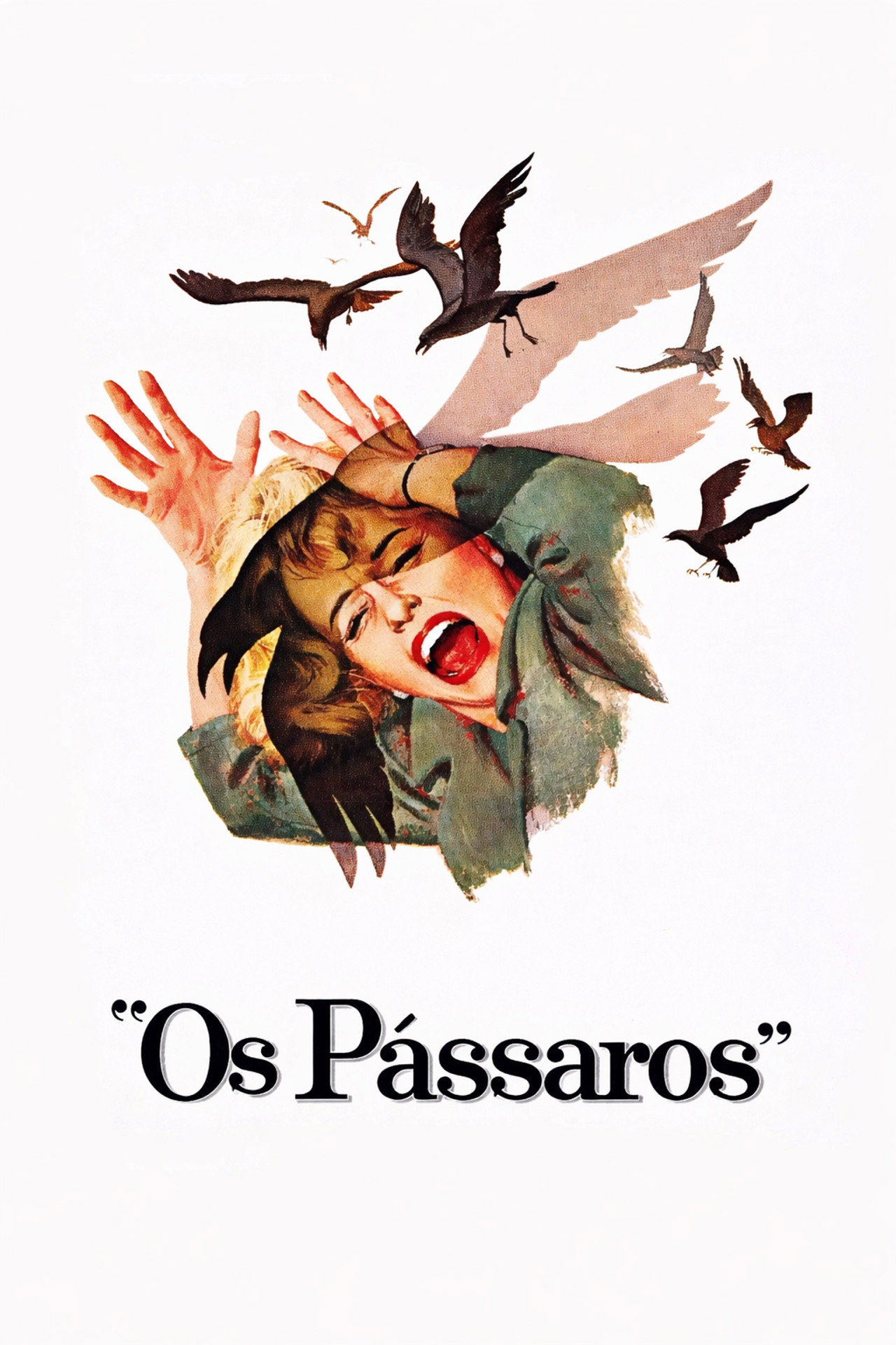 Pôster de Os Pássaros