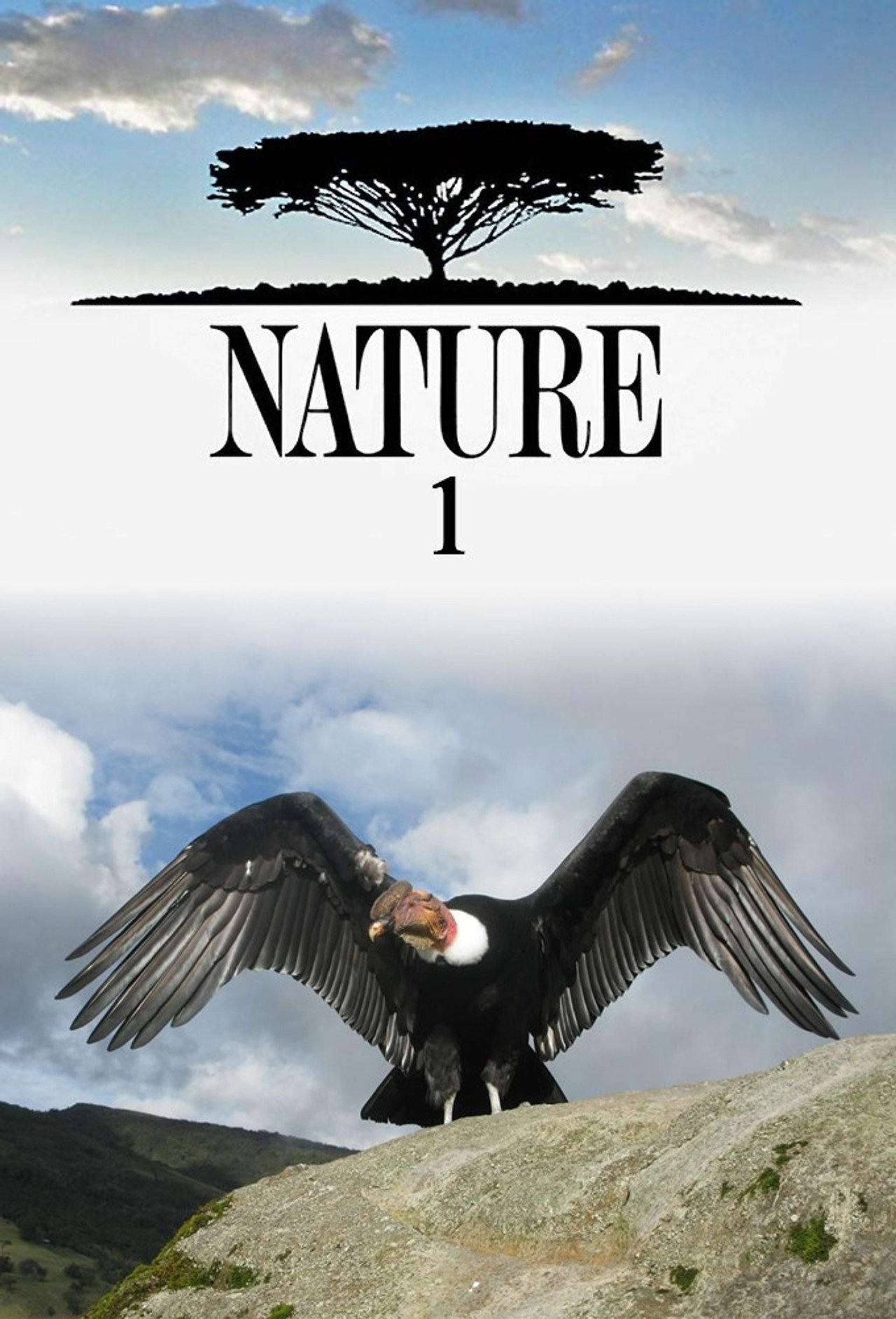 Pôster de Nature