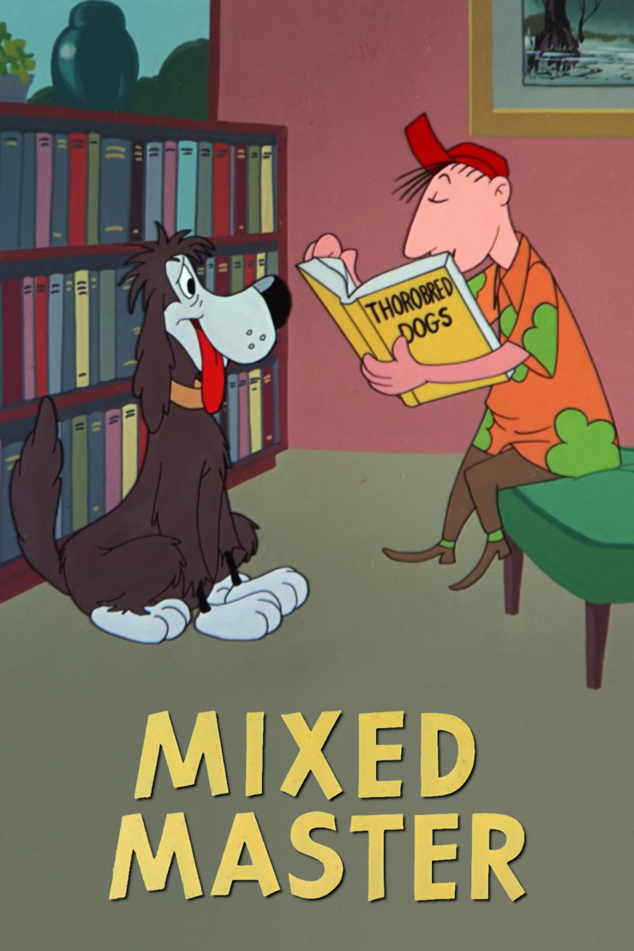 Pôster de Mixed Master