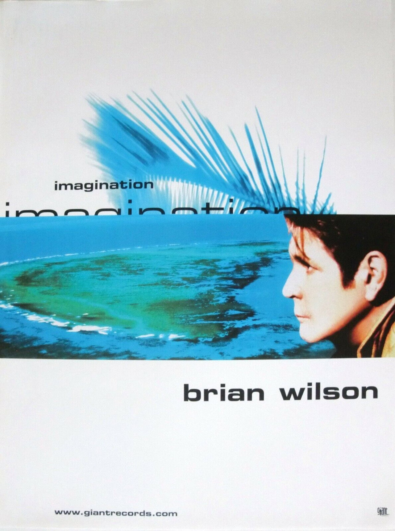 Pôster de Brian Wilson’s Imagination