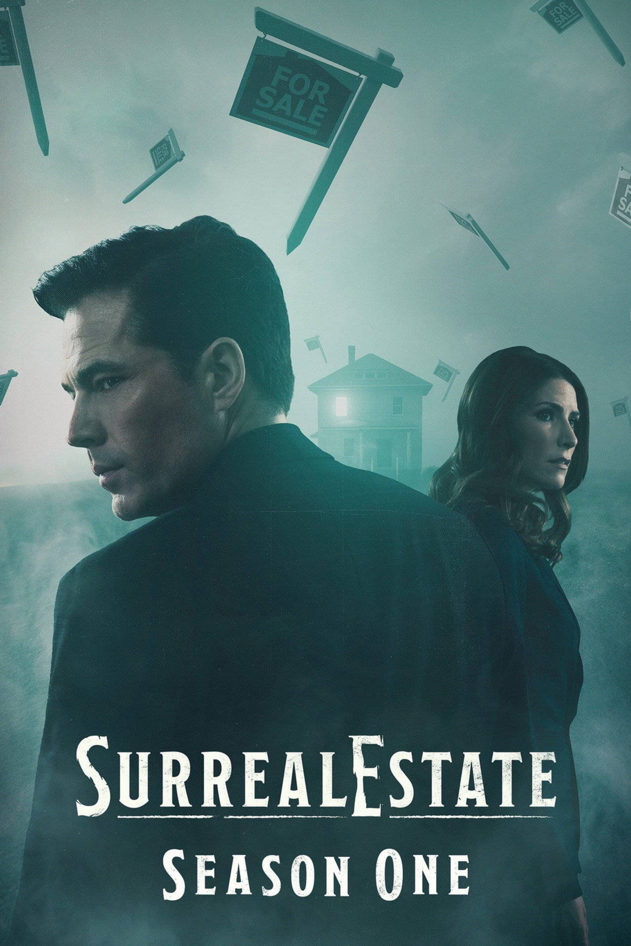 Pôster de SurrealEstate