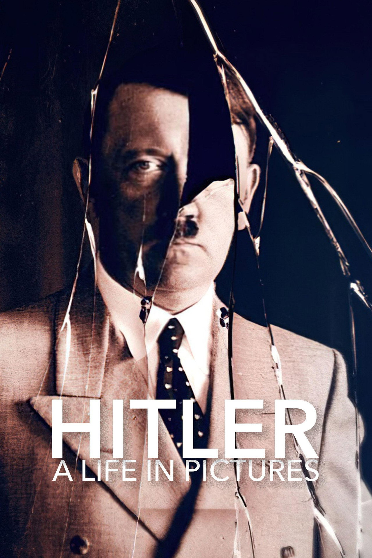 Pôster de Hitler: A Life in Pictures