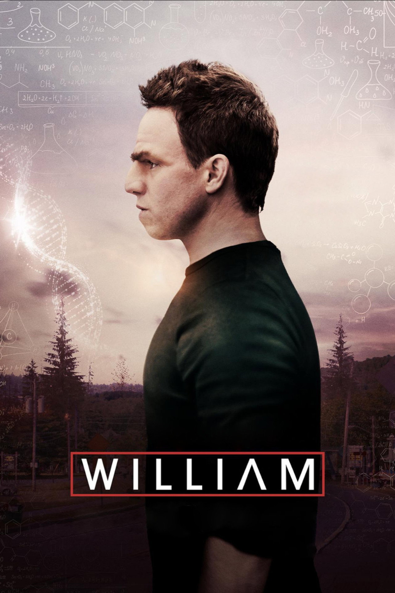 Pôster de William