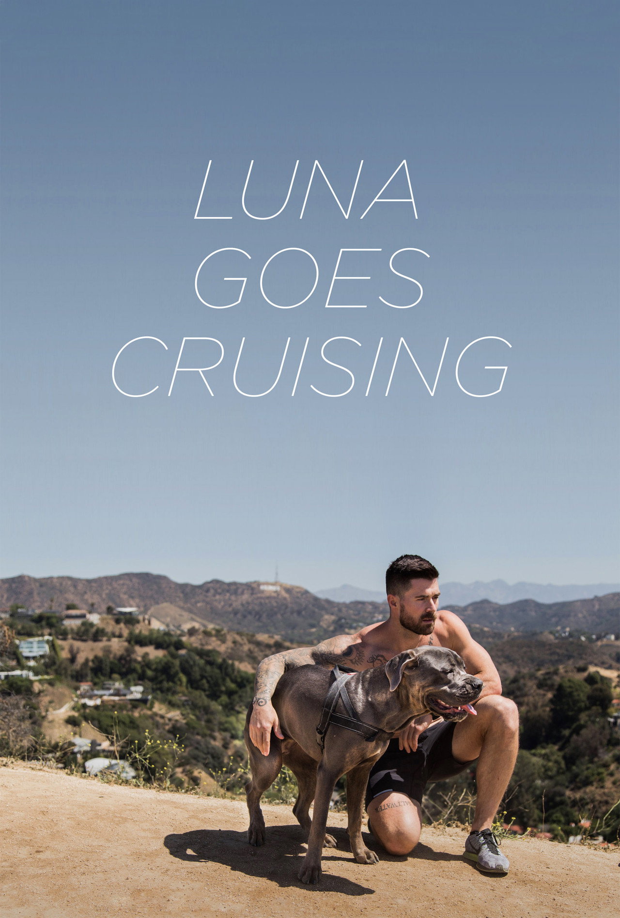 Pôster de Luna Goes Cruising