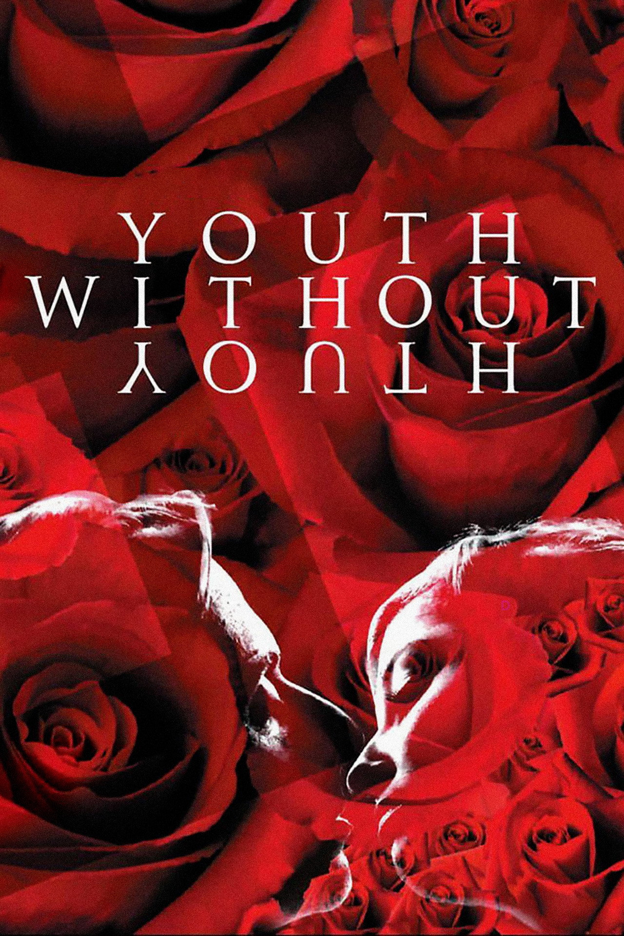 Pôster de Youth Without Youth
