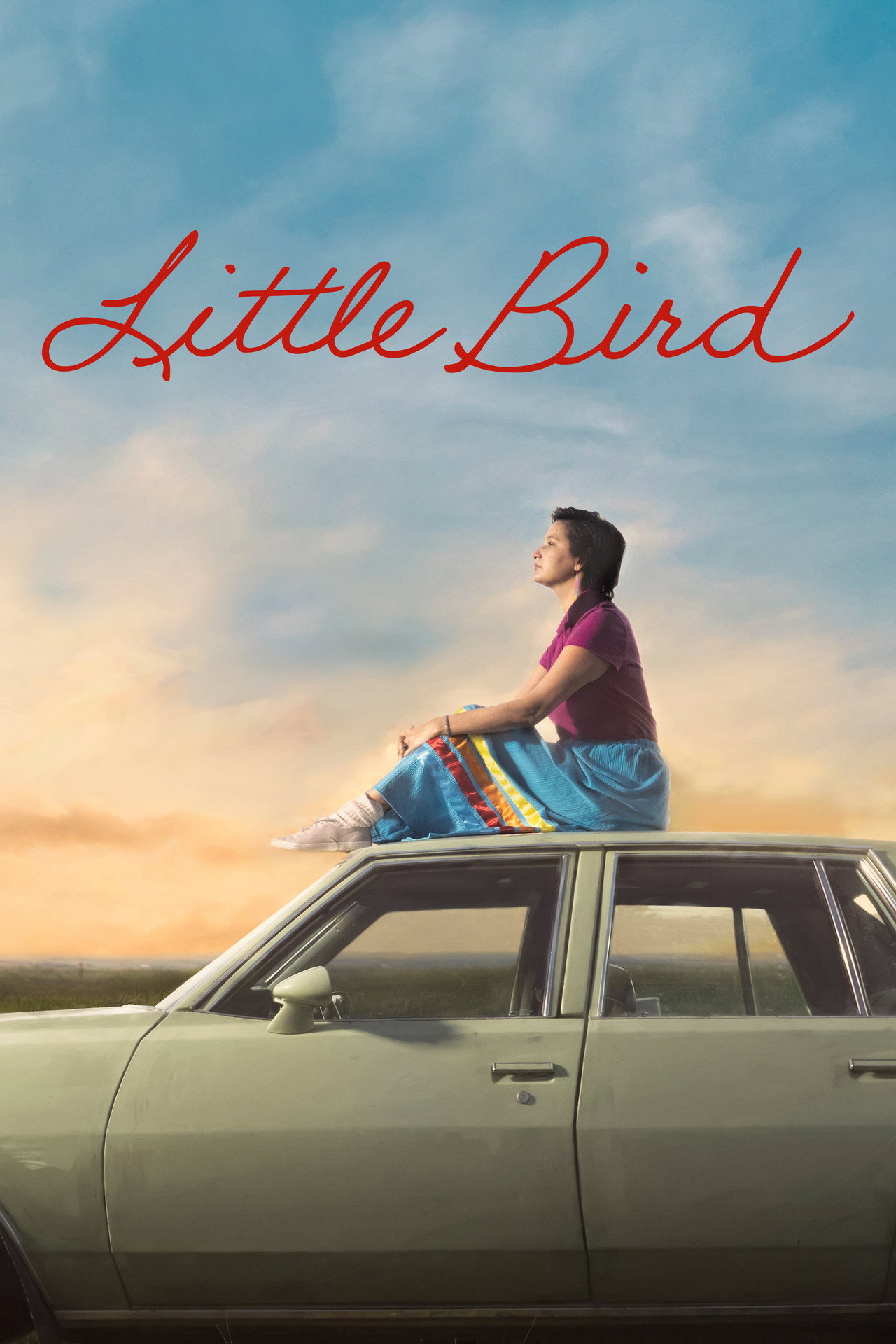 Pôster de Little Bird