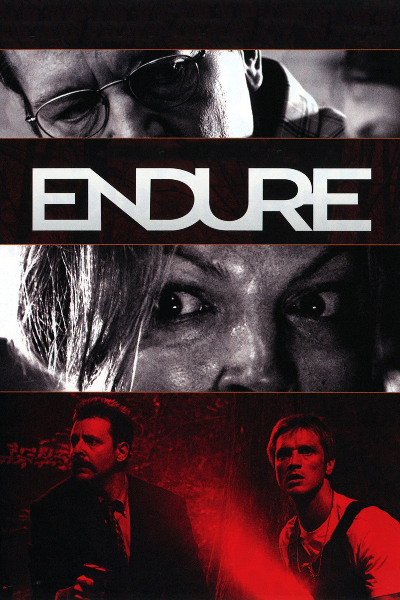 Pôster de Endure