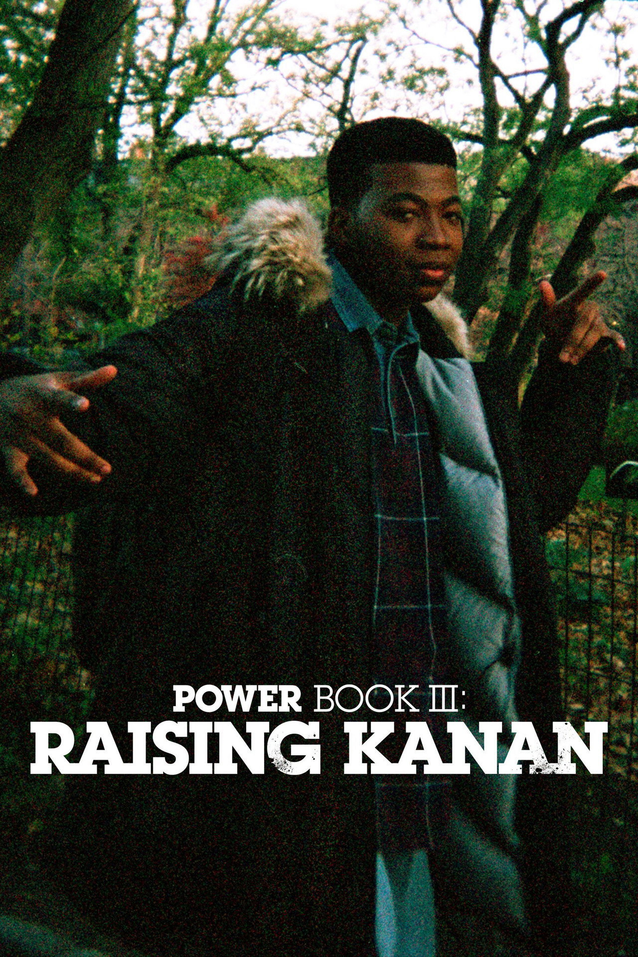Pôster de Power Book III: Raising Kanan