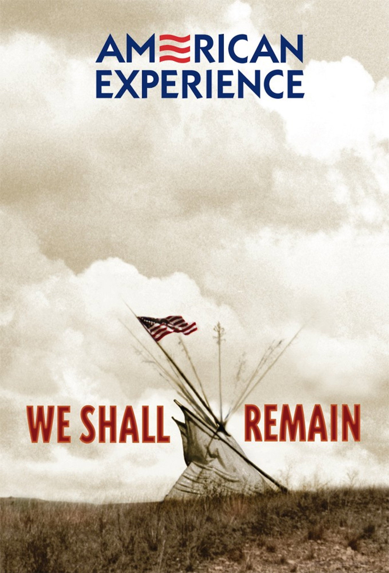 Pôster de We Shall Remain