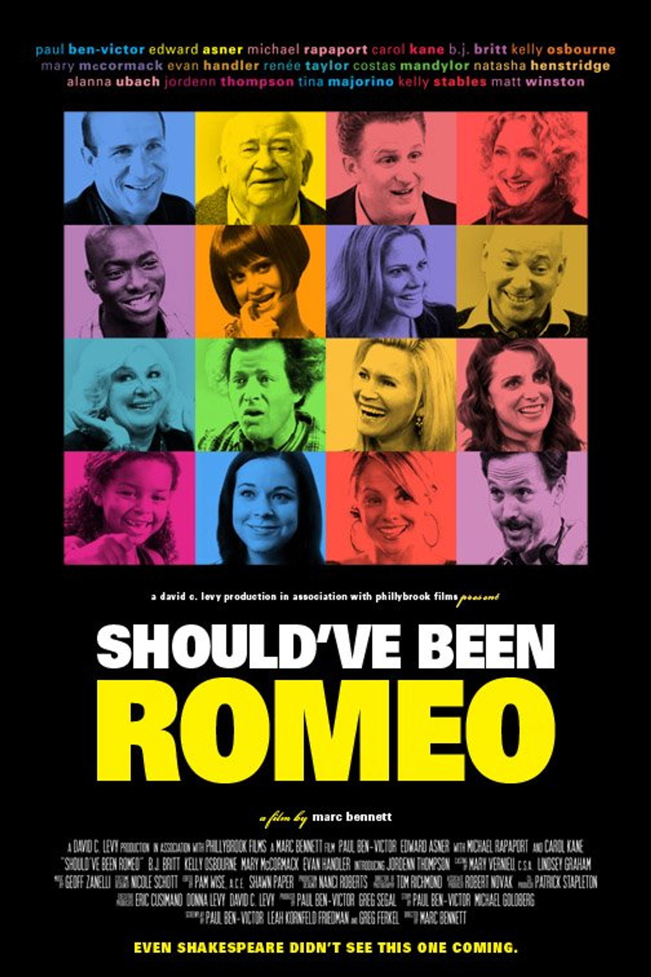 Pôster de Should've Been Romeo