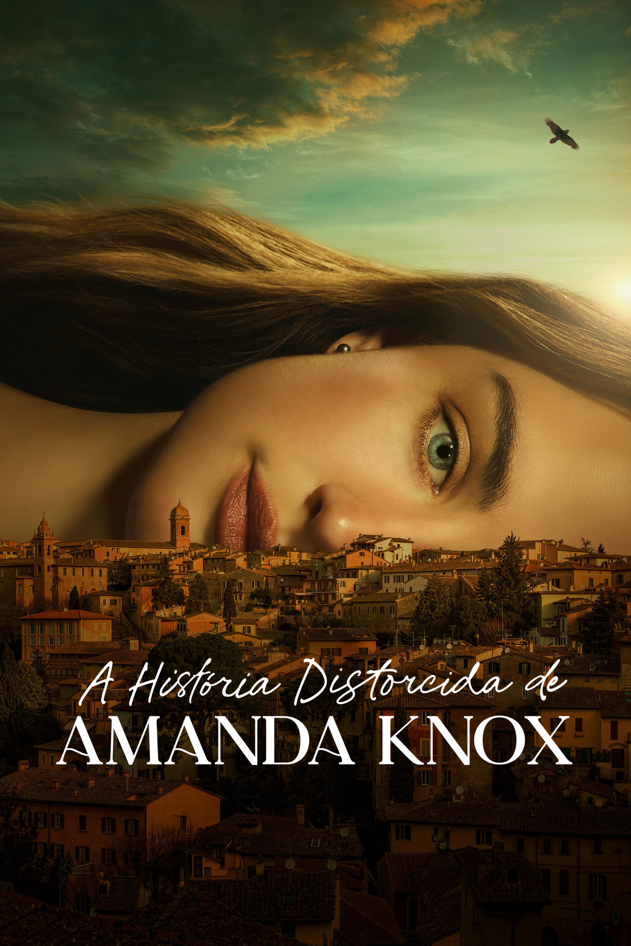 Pôster de A História Distorcida de Amanda Knox