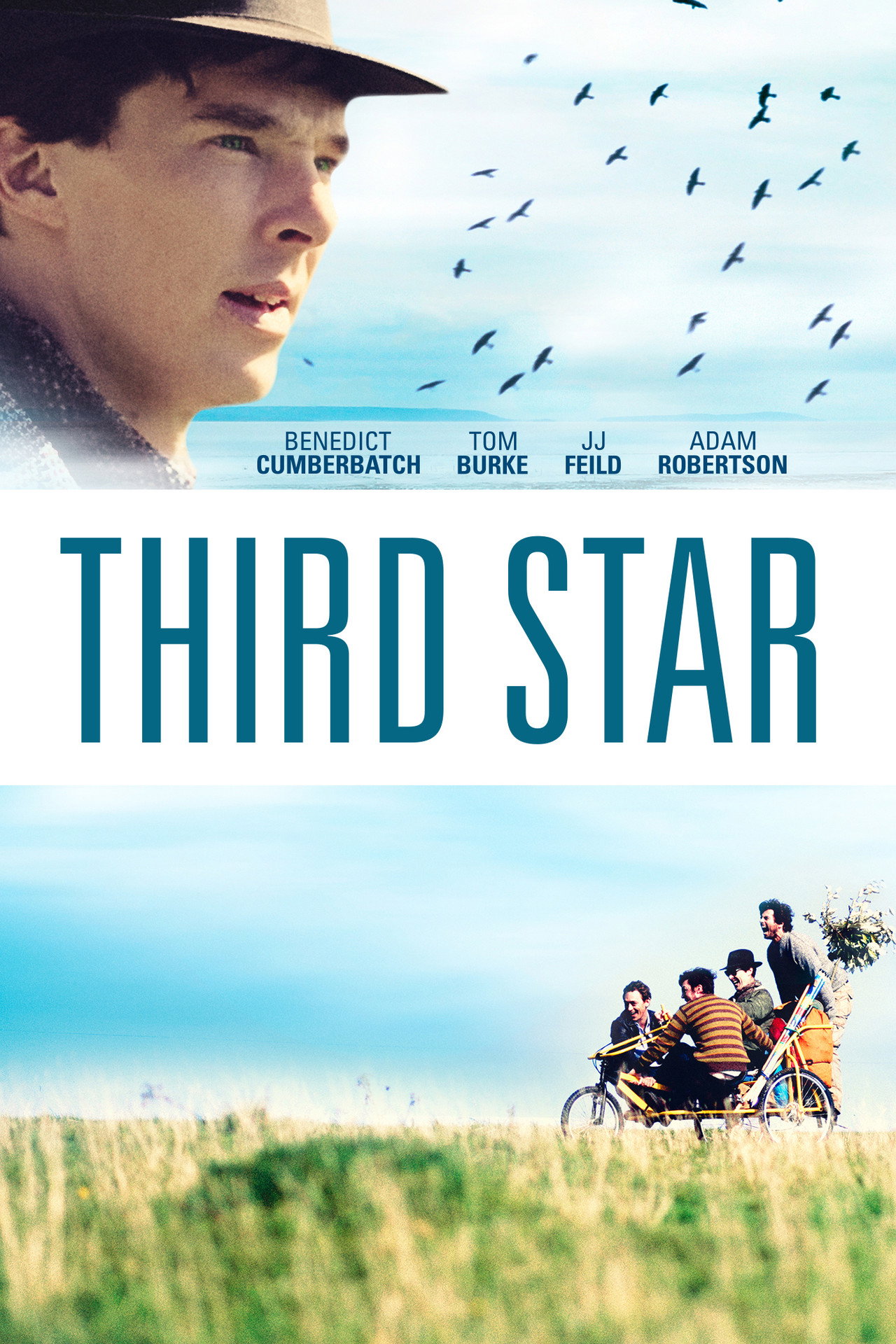 Pôster de Third Star
