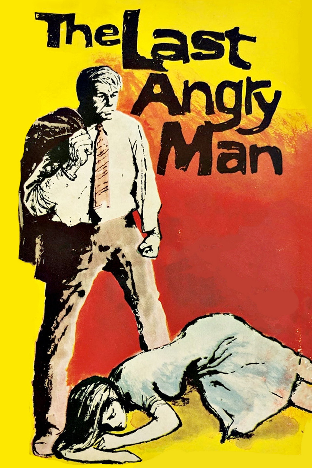 Pôster de The Last Angry Man