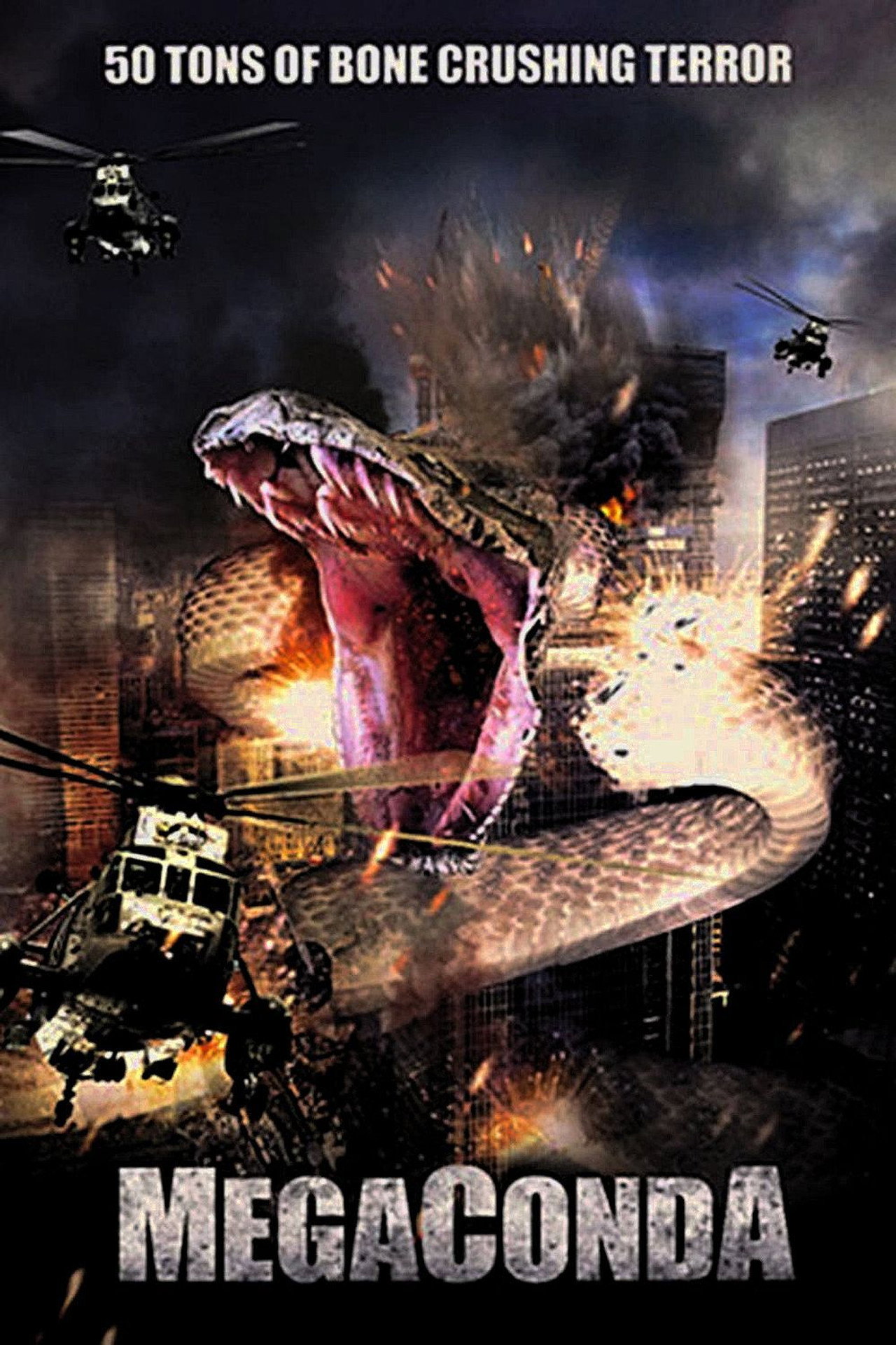 Pôster de Megaconda