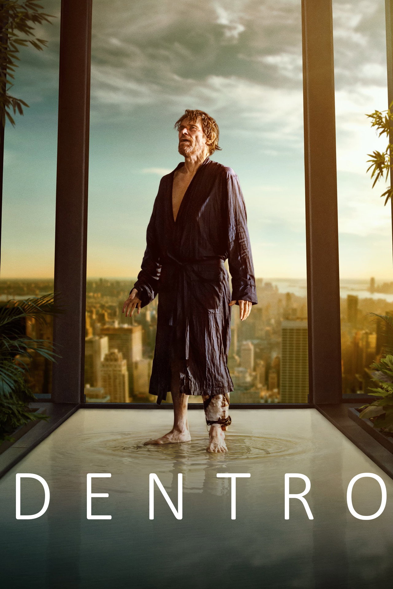 Pôster de Dentro