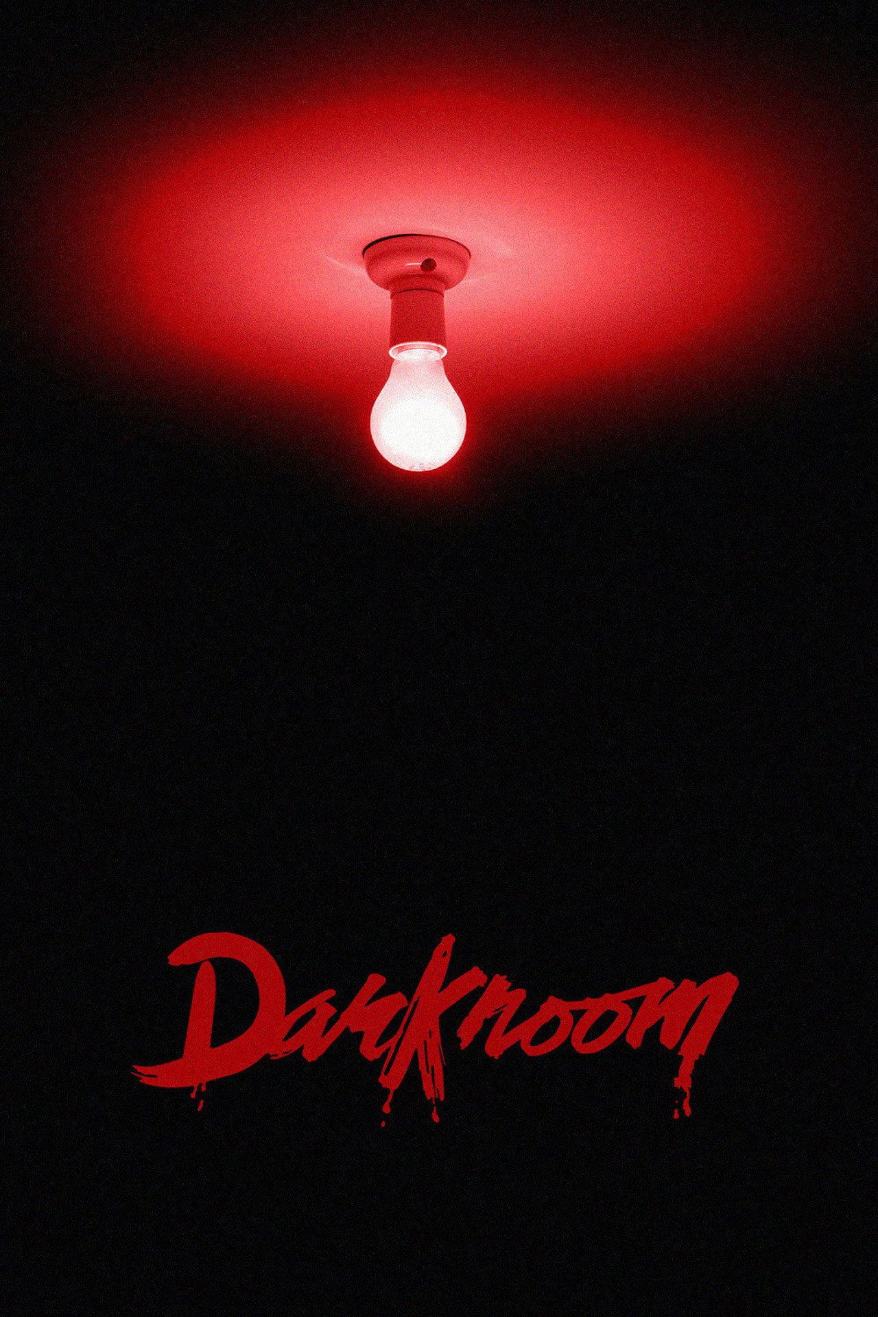 Pôster de Darkroom