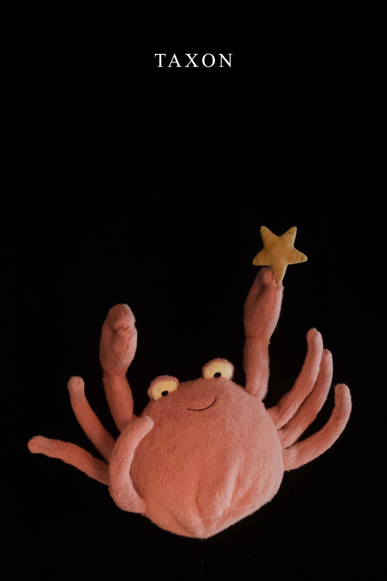 Pôster de Taxon