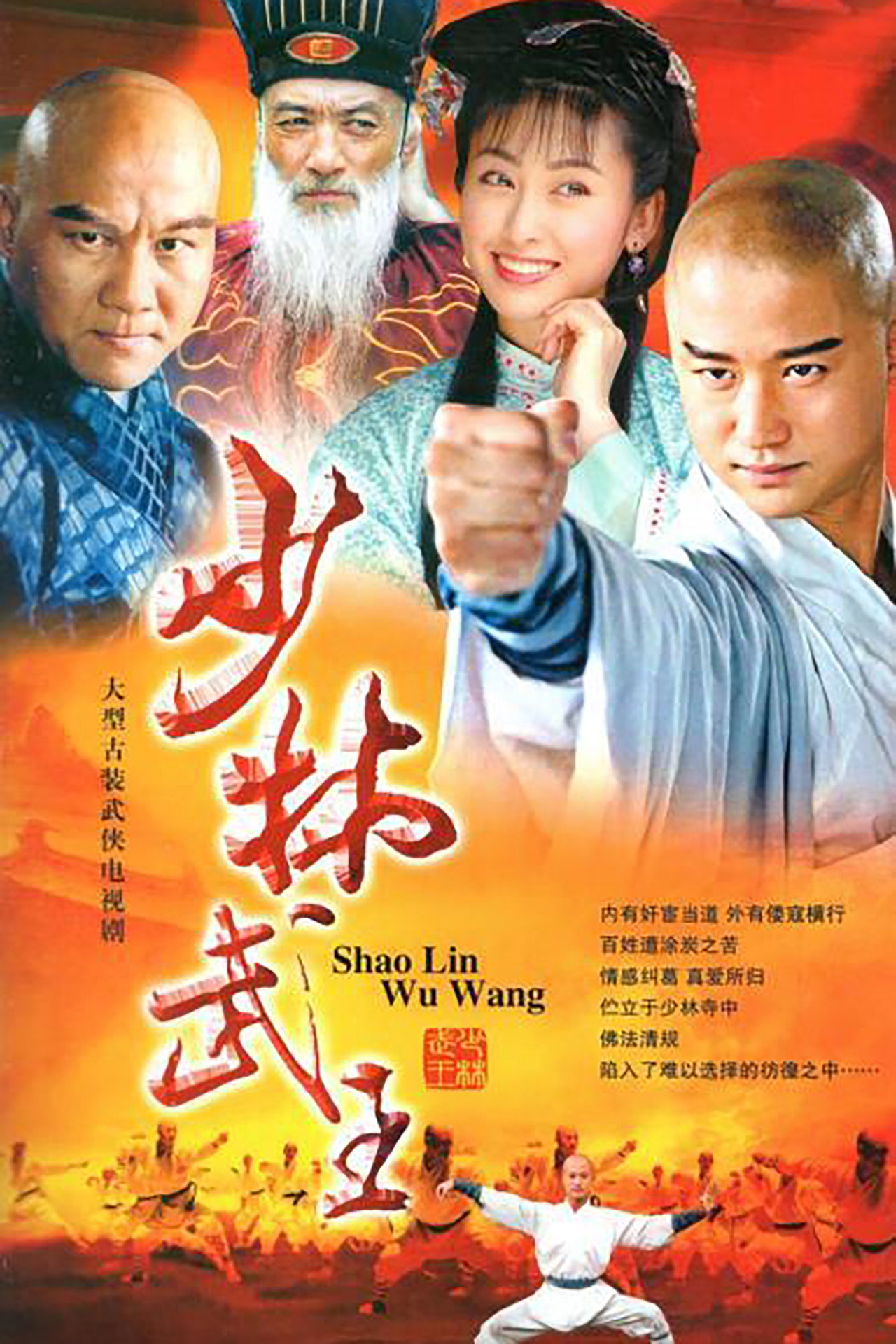 Pôster de 少林武王