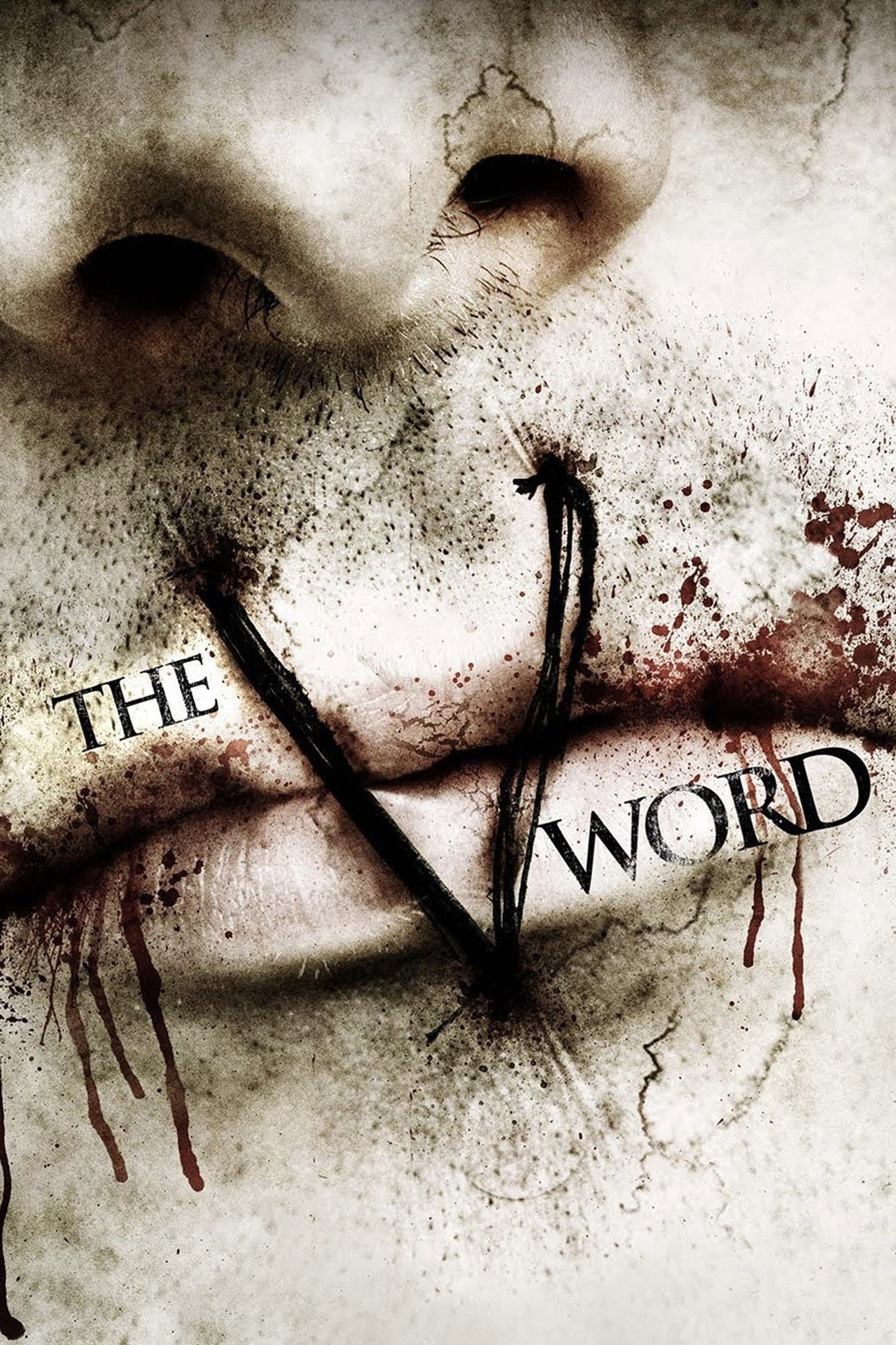 Pôster de The V Word