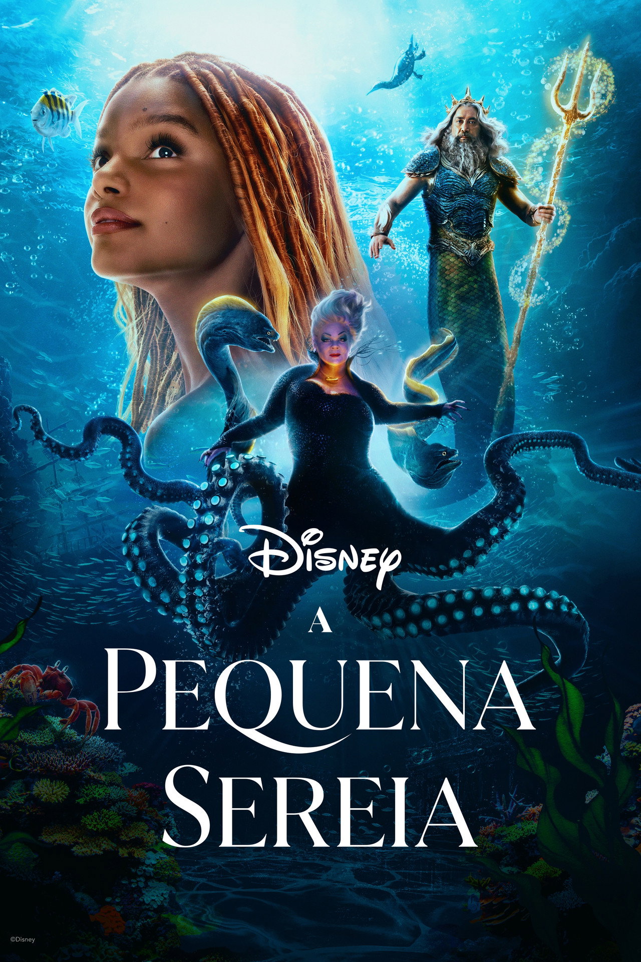Pôster de A Pequena Sereia