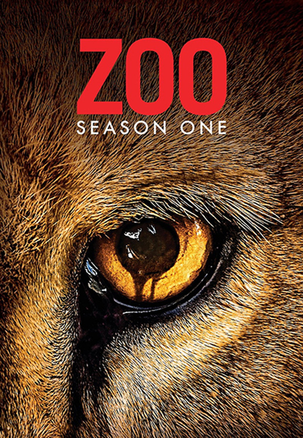 Pôster de Zoo