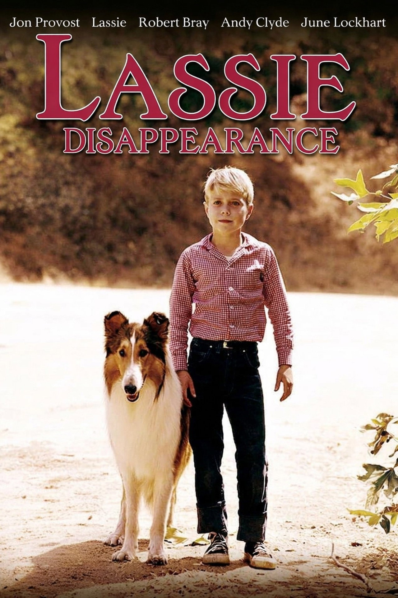 Pôster de Lassie: Disappearance
