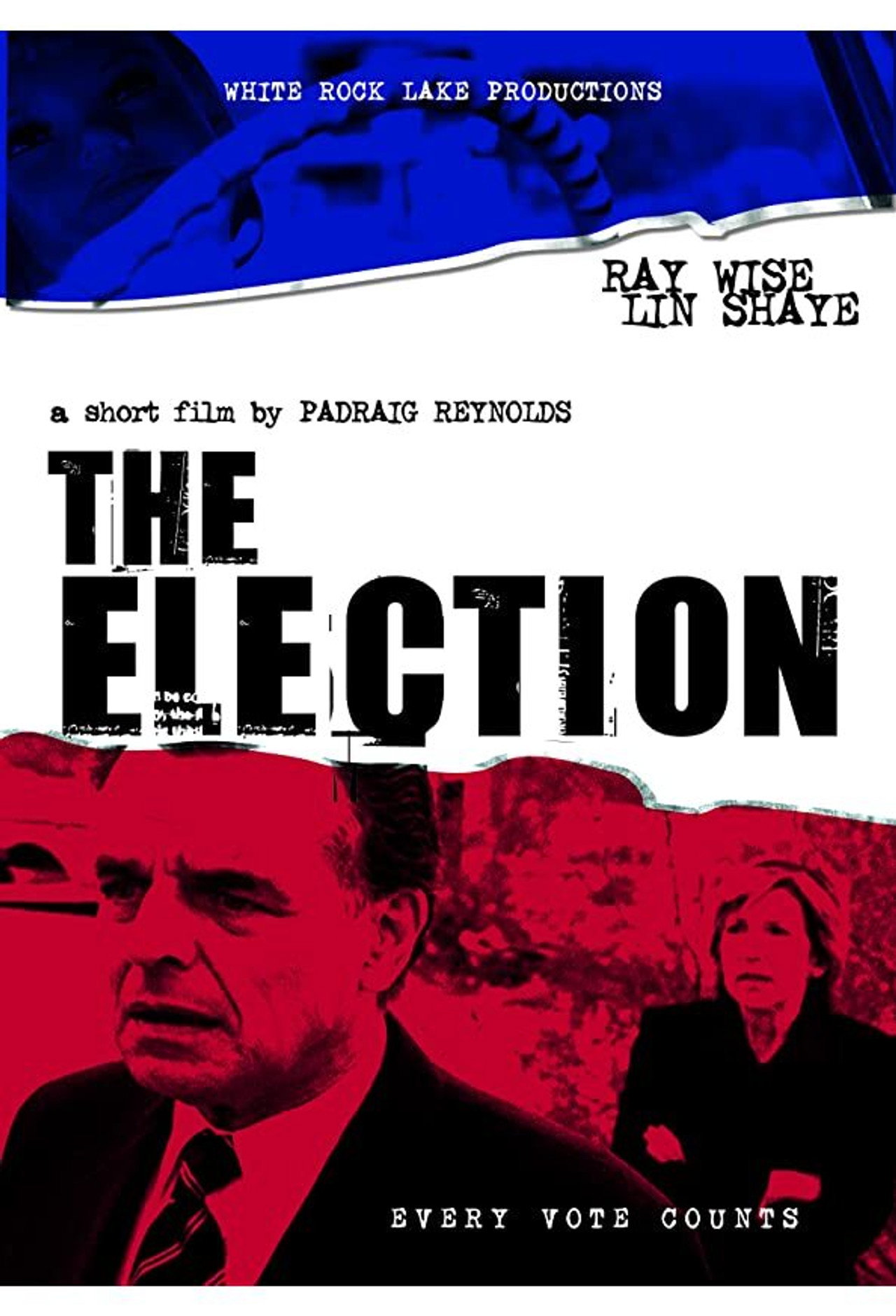 Pôster de The Election