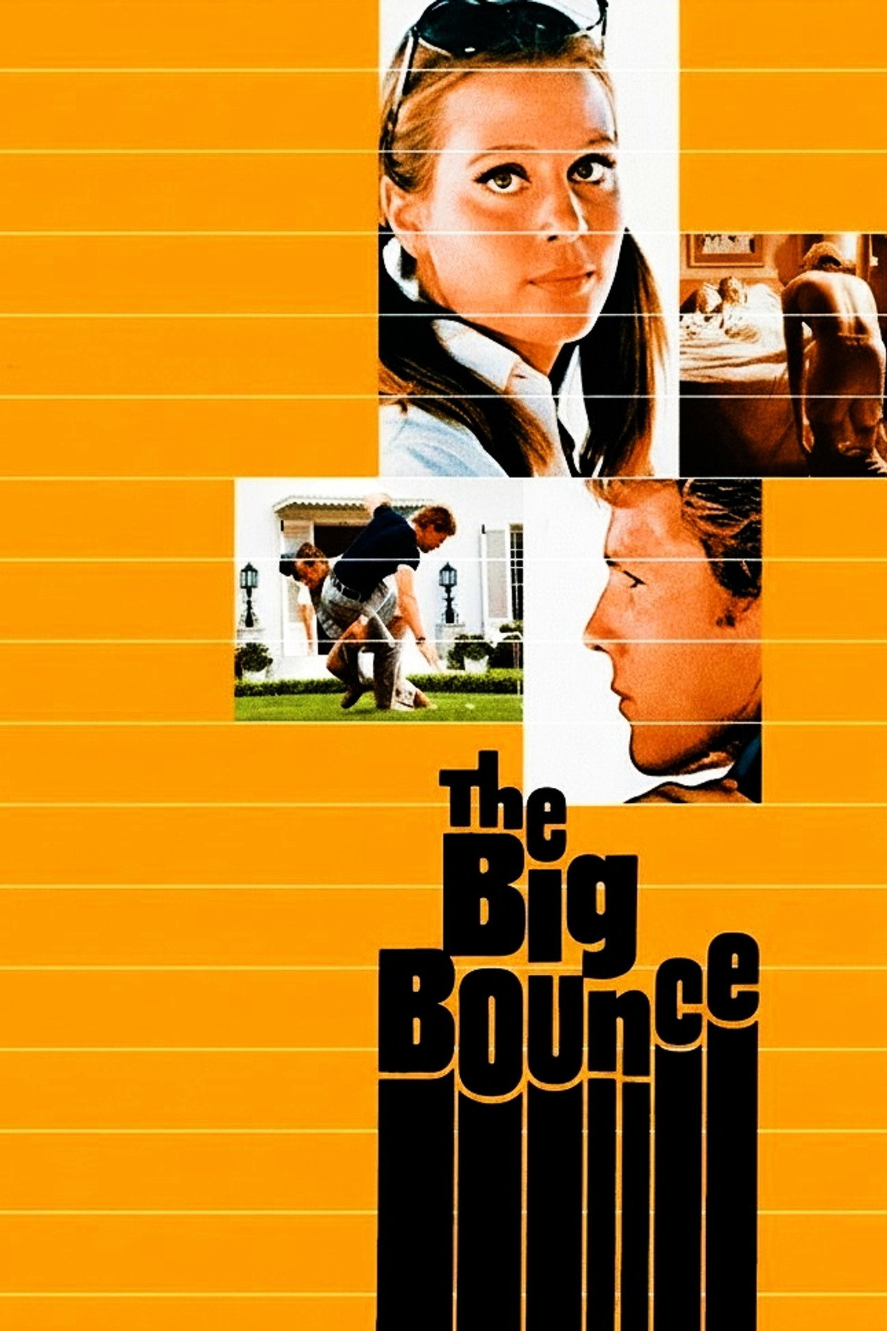 Pôster de The Big Bounce