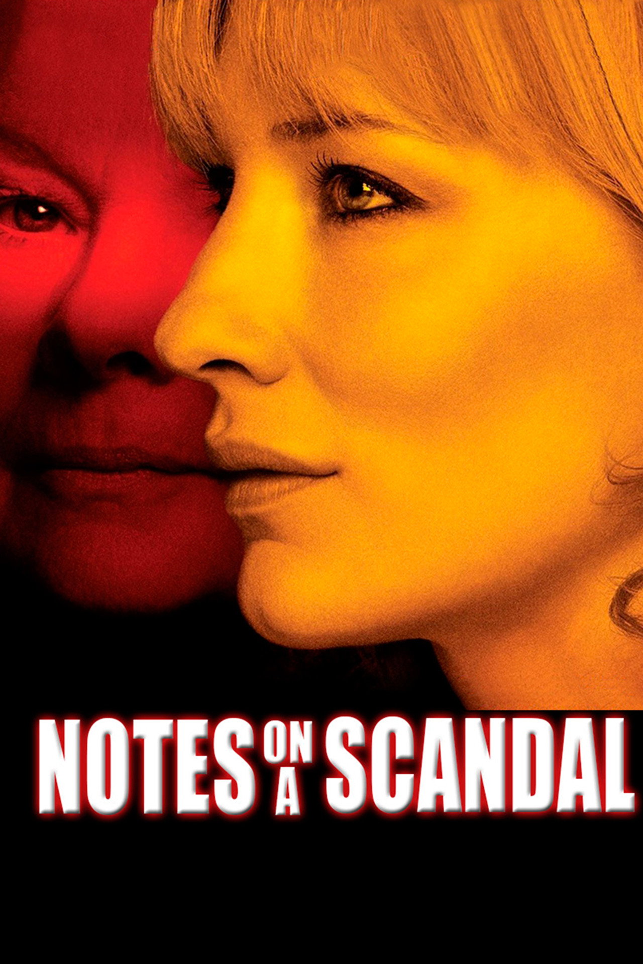 Pôster de Notes on a Scandal