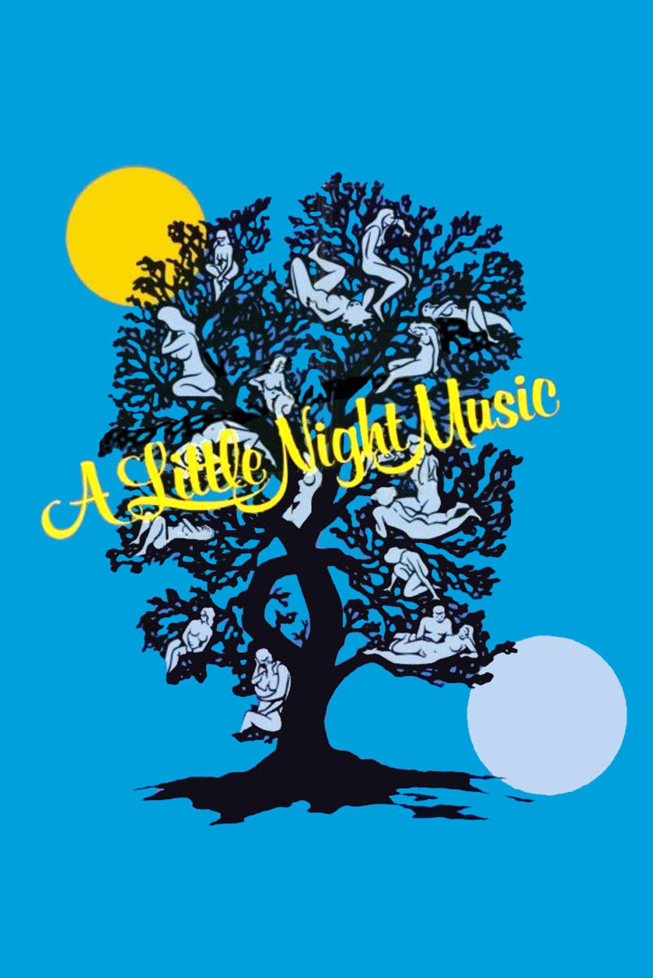 Pôster de Um Pouco de Música Noturna