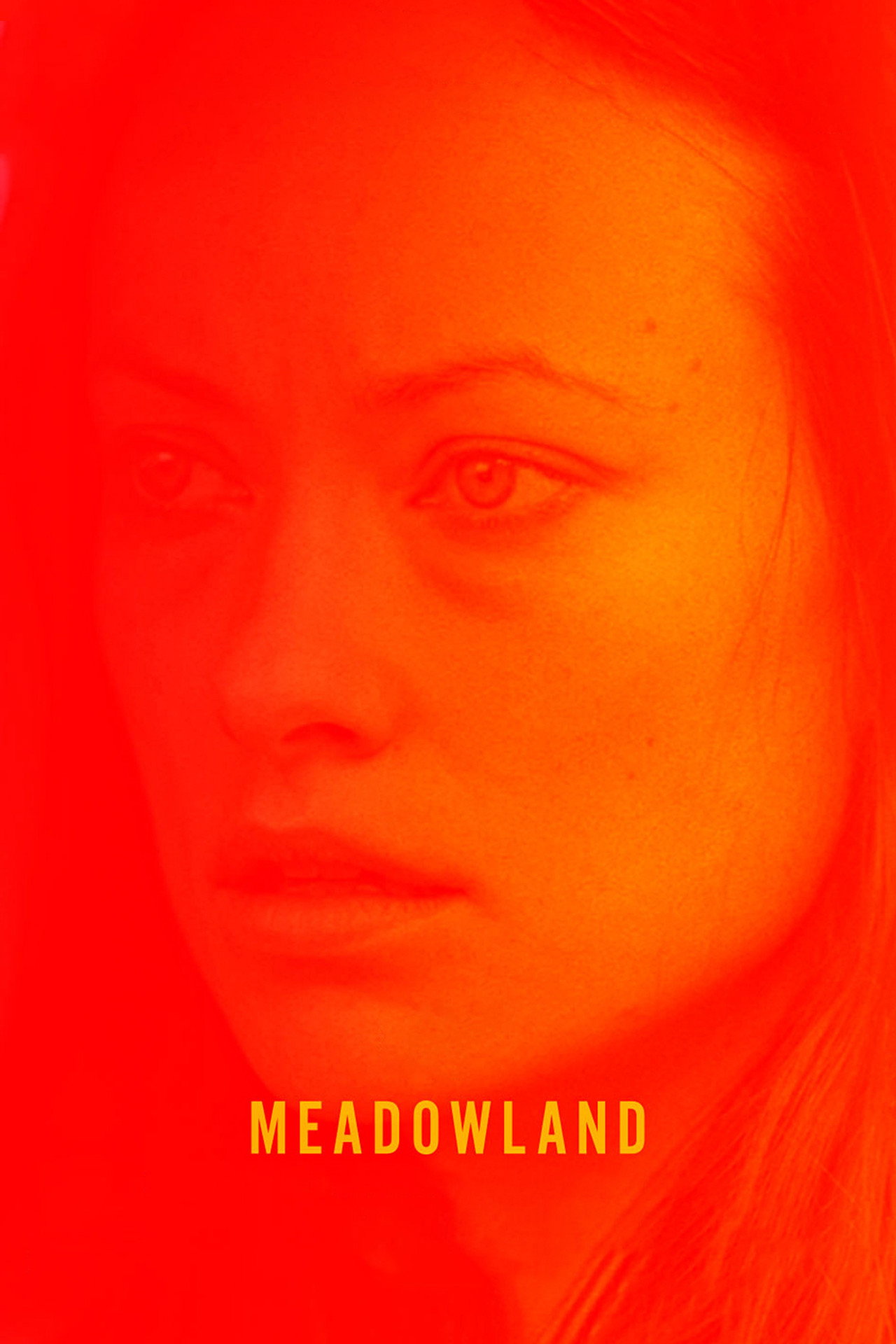Pôster de Meadowland
