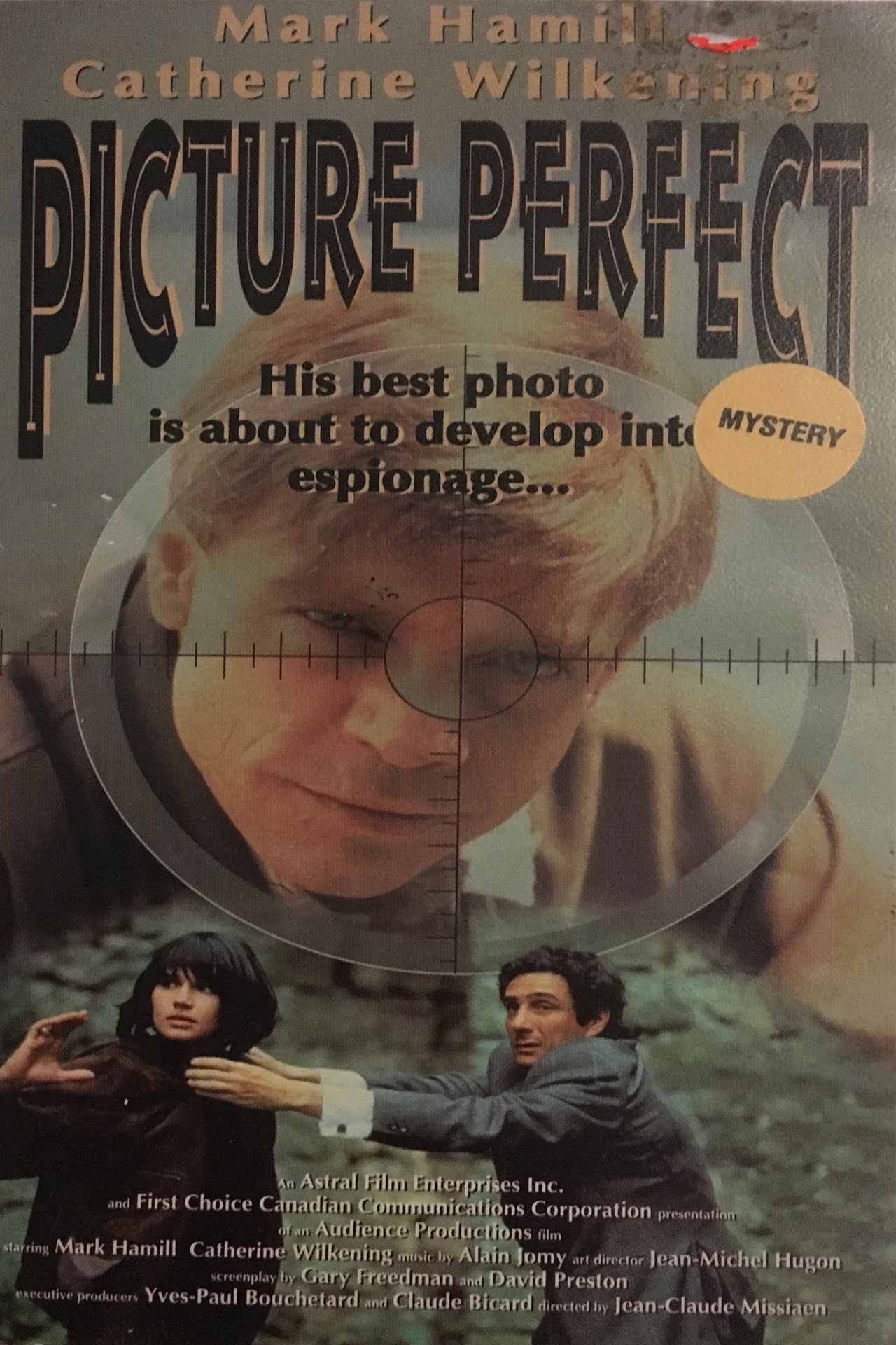 Pôster de Picture Perfect