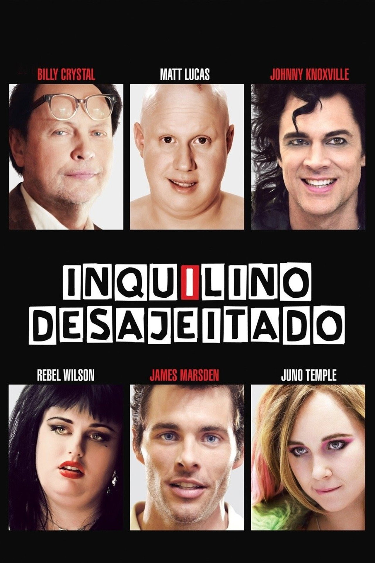 Pôster de Inquilino Desajeitado