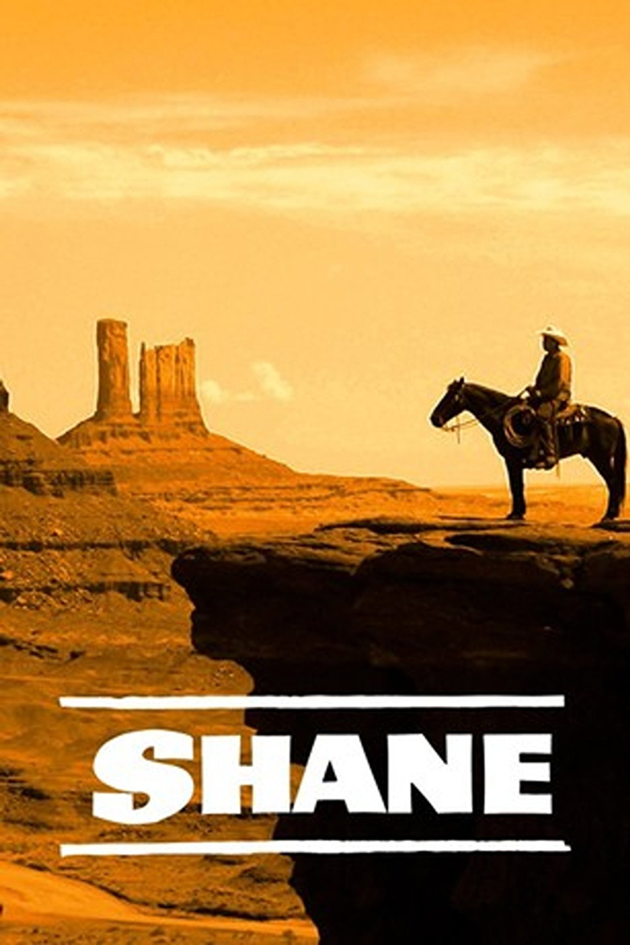 Pôster de Shane