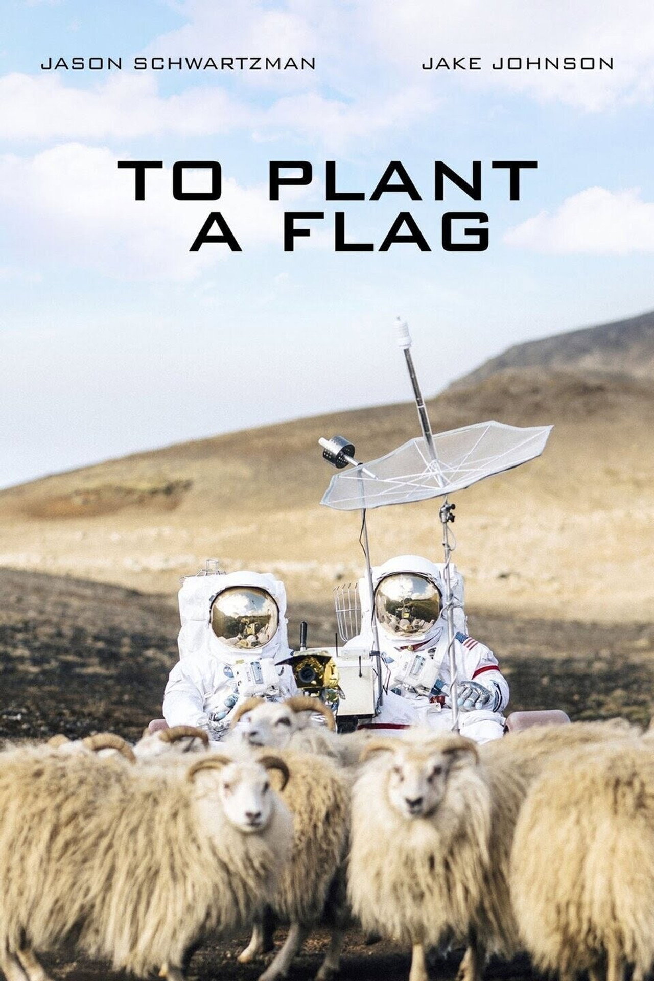 Pôster de To Plant a Flag