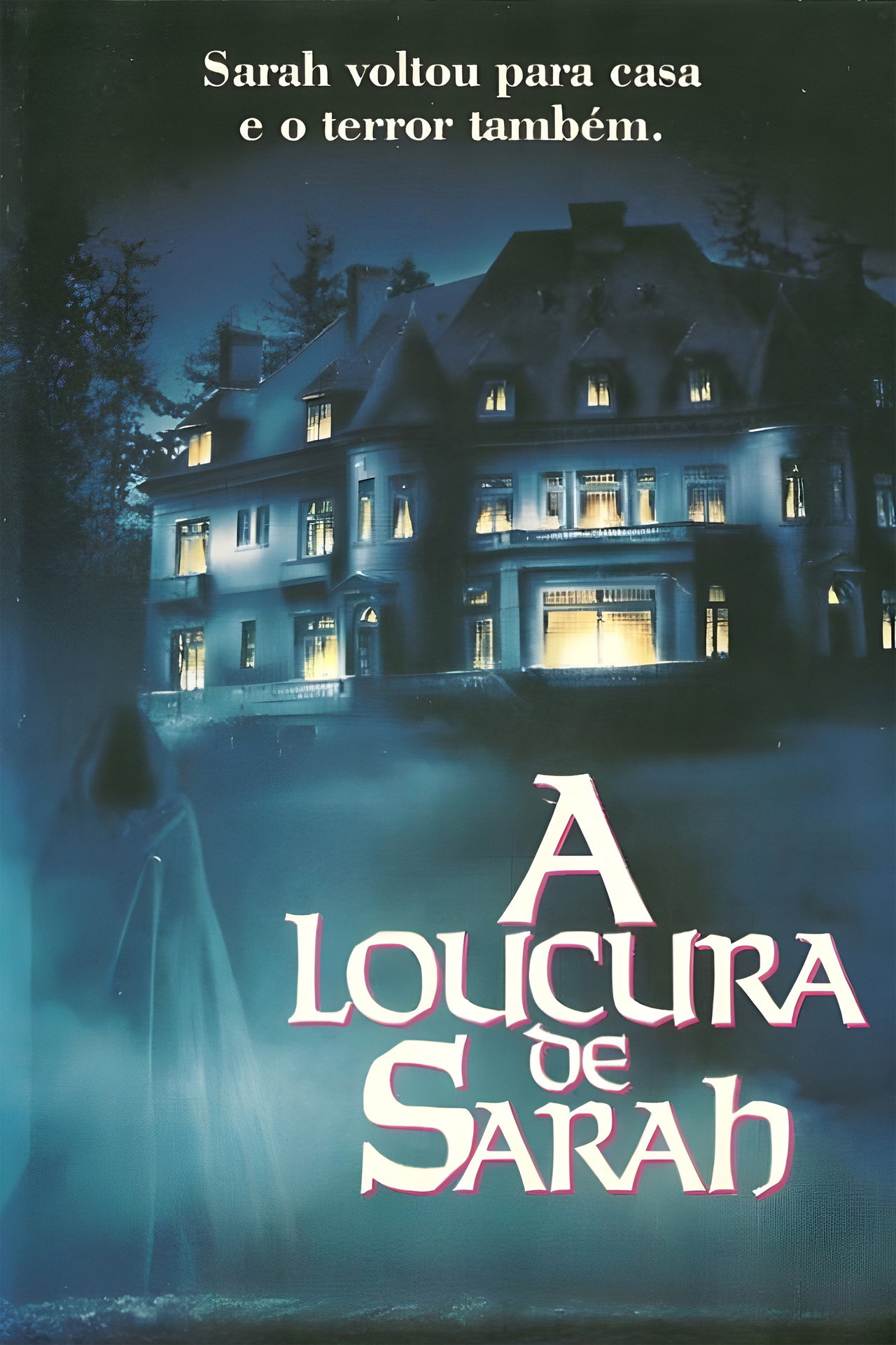 Pôster de A Loucura de Sarah