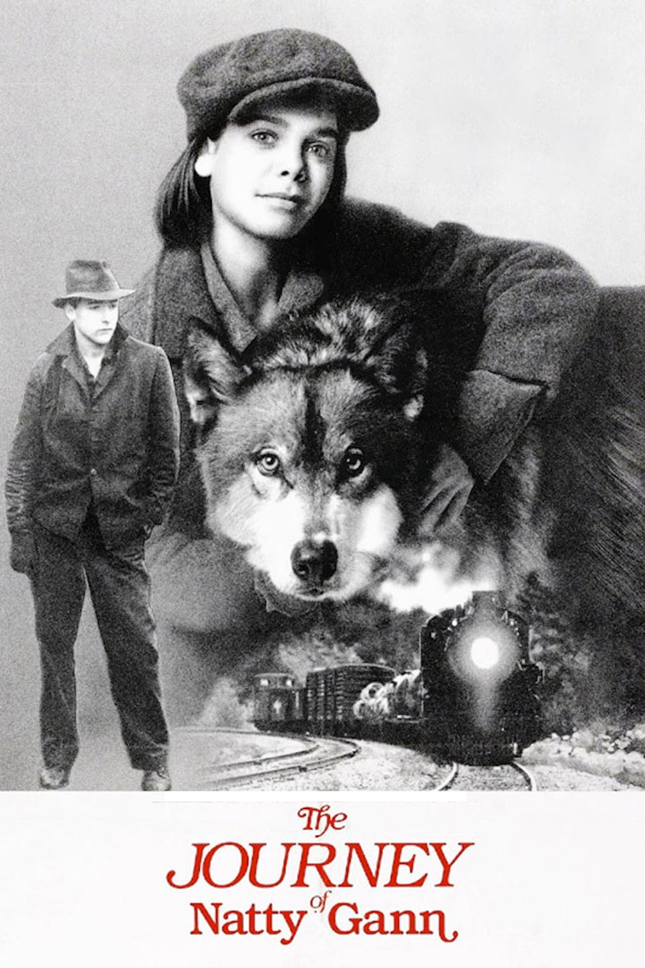 Pôster de The Journey of Natty Gann