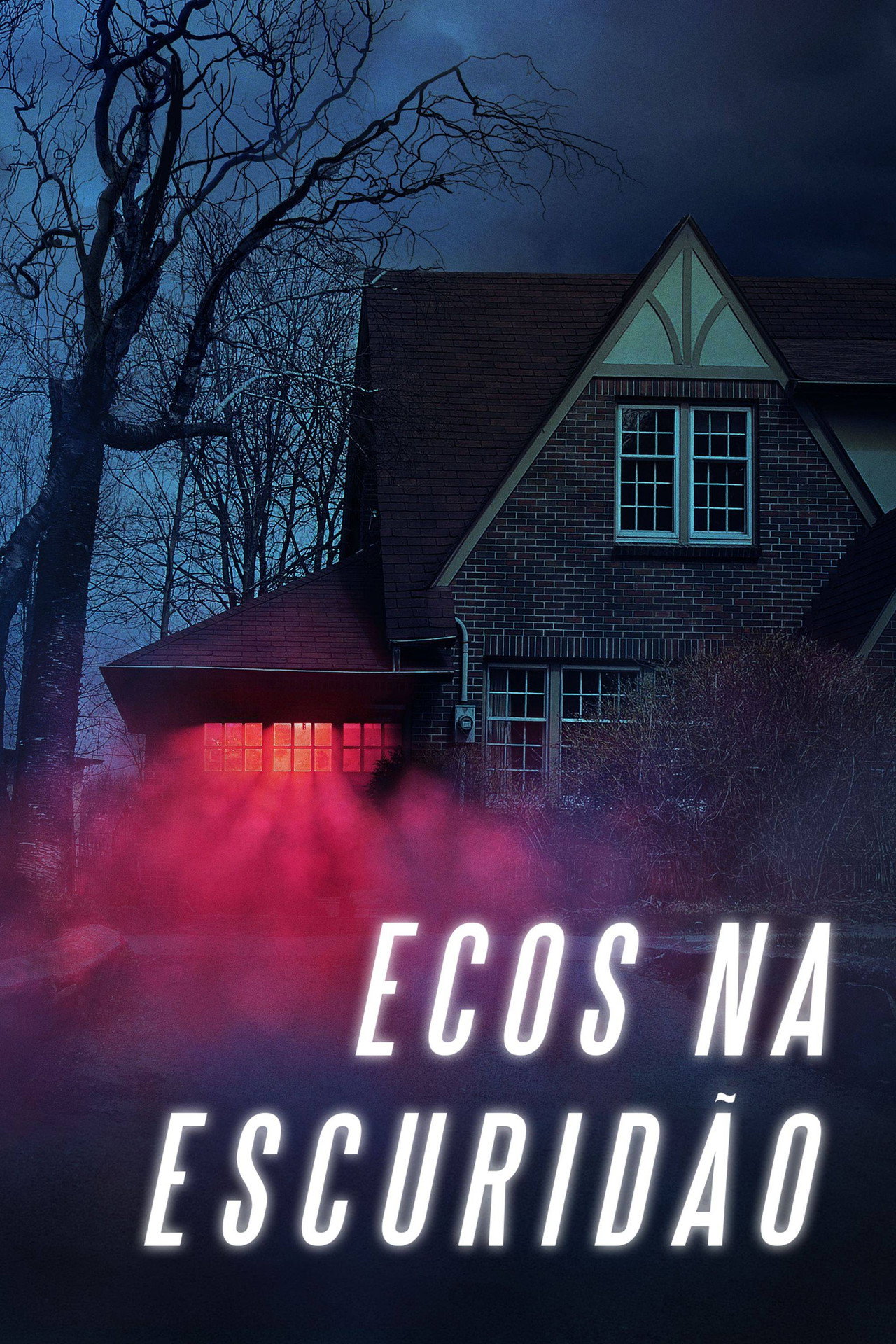 Pôster de Ecos na Escuridão