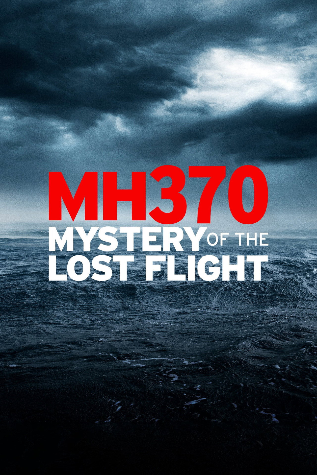 Pôster de MH370: Mystery of the Lost Flight